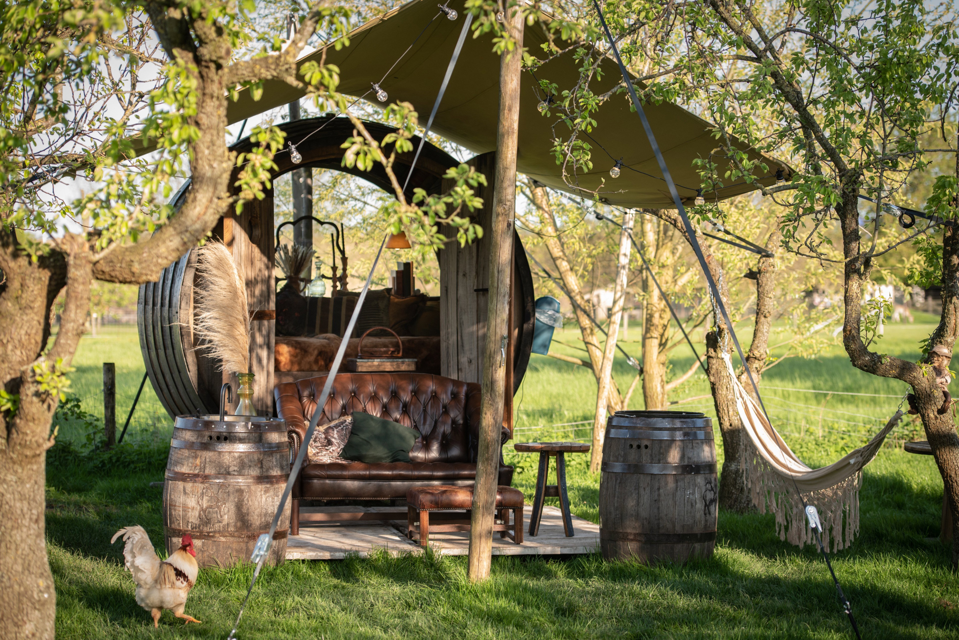 Casa nella natura a Zennewijnen