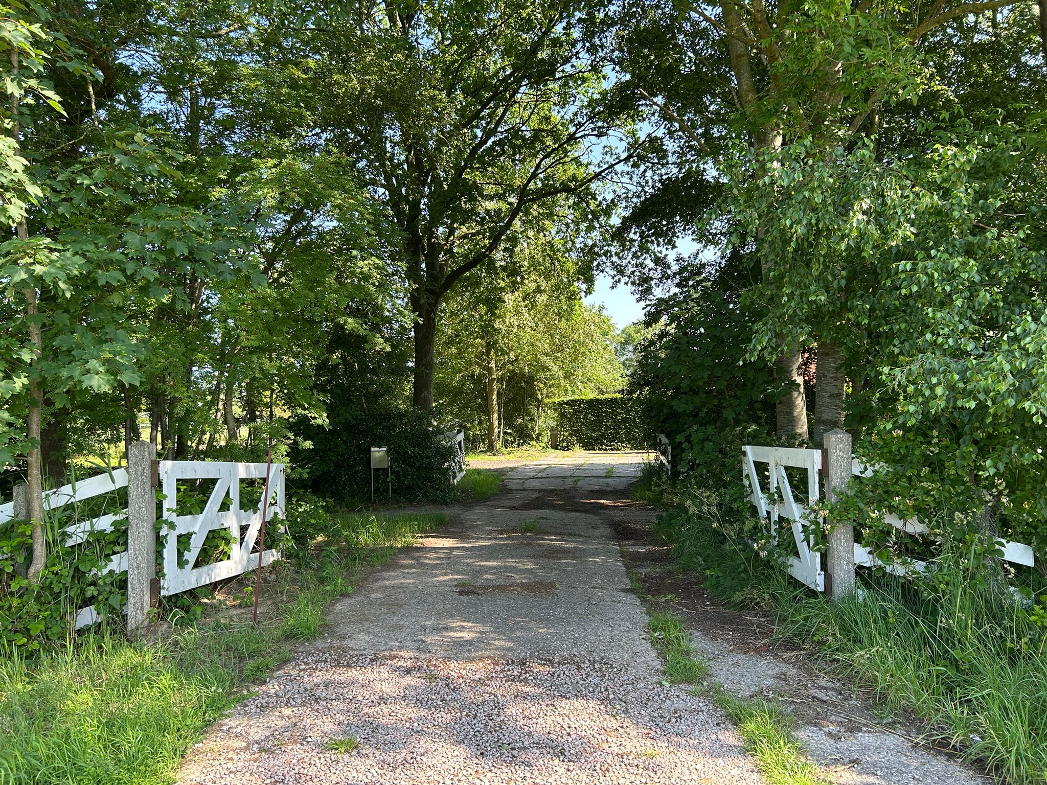 Natuurhuisje in Haskerhorne