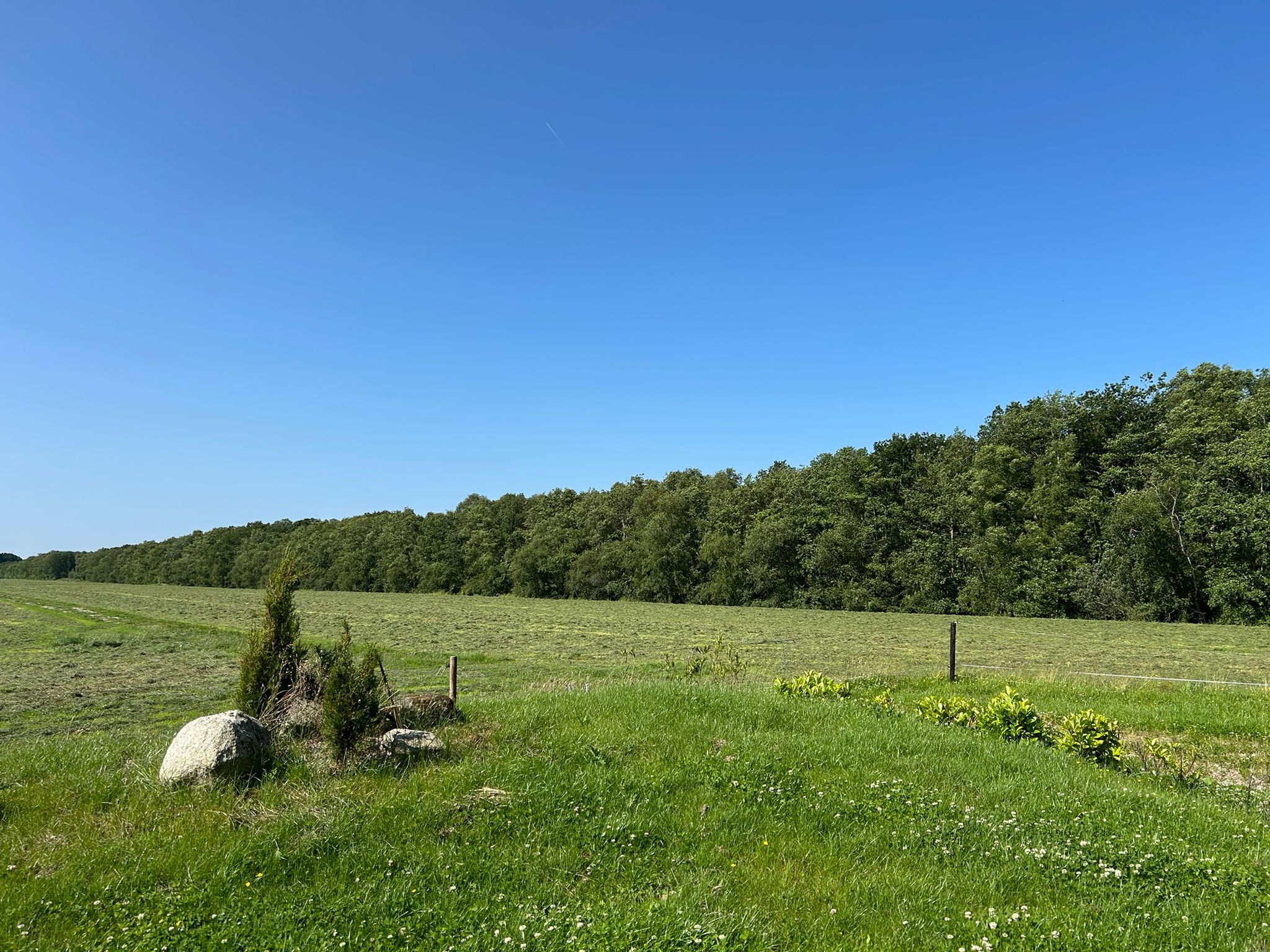 Natuurhuisje in Haskerhorne