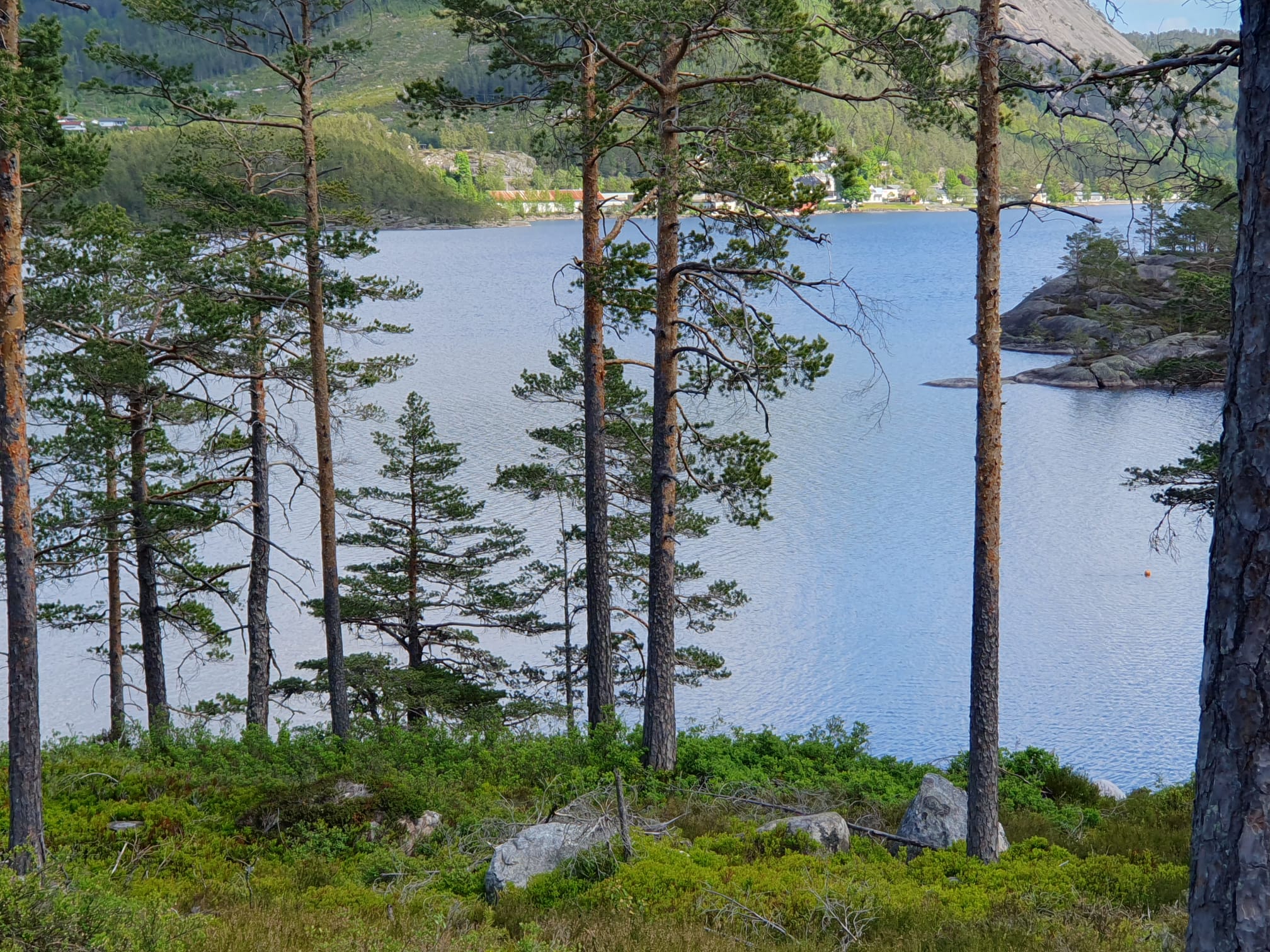- image: 48