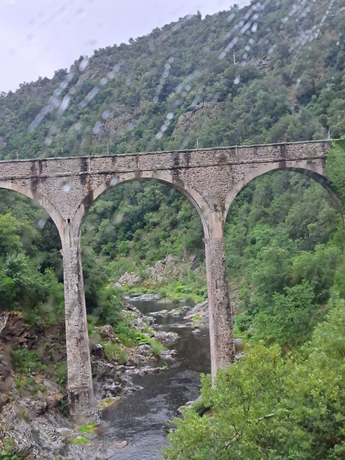 - image: 18