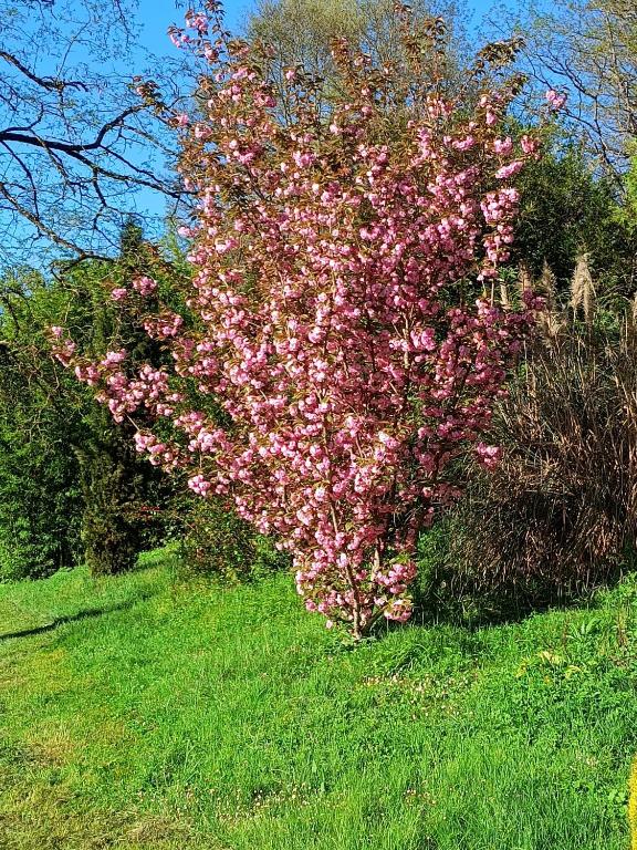 Casa nella natura a Le VIgeant