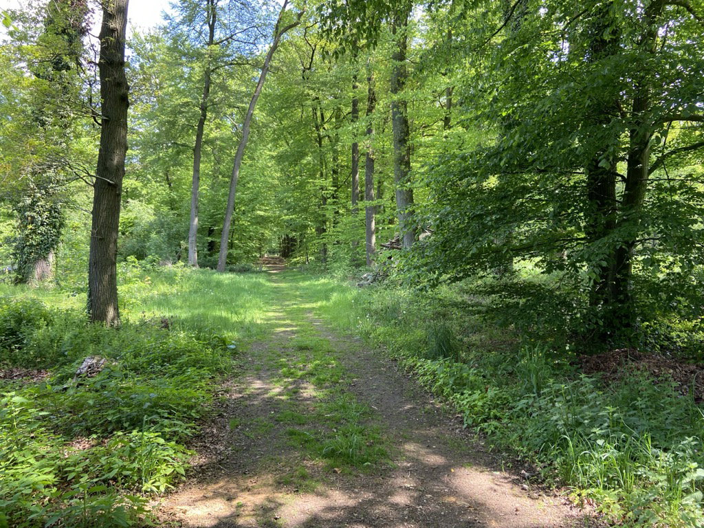 Natuurhuisje in Winterswijk