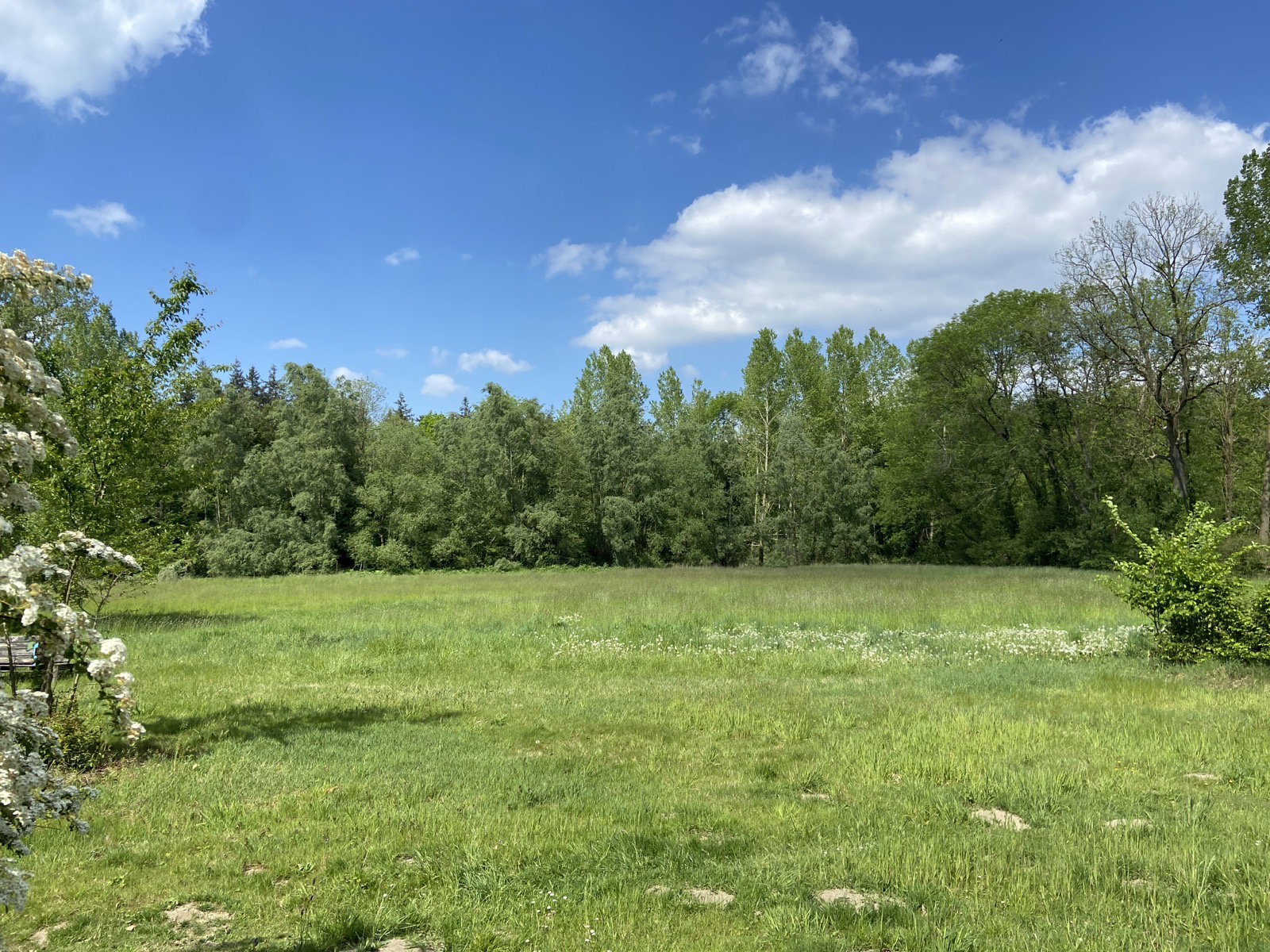 Natuurhuisje in Winterswijk