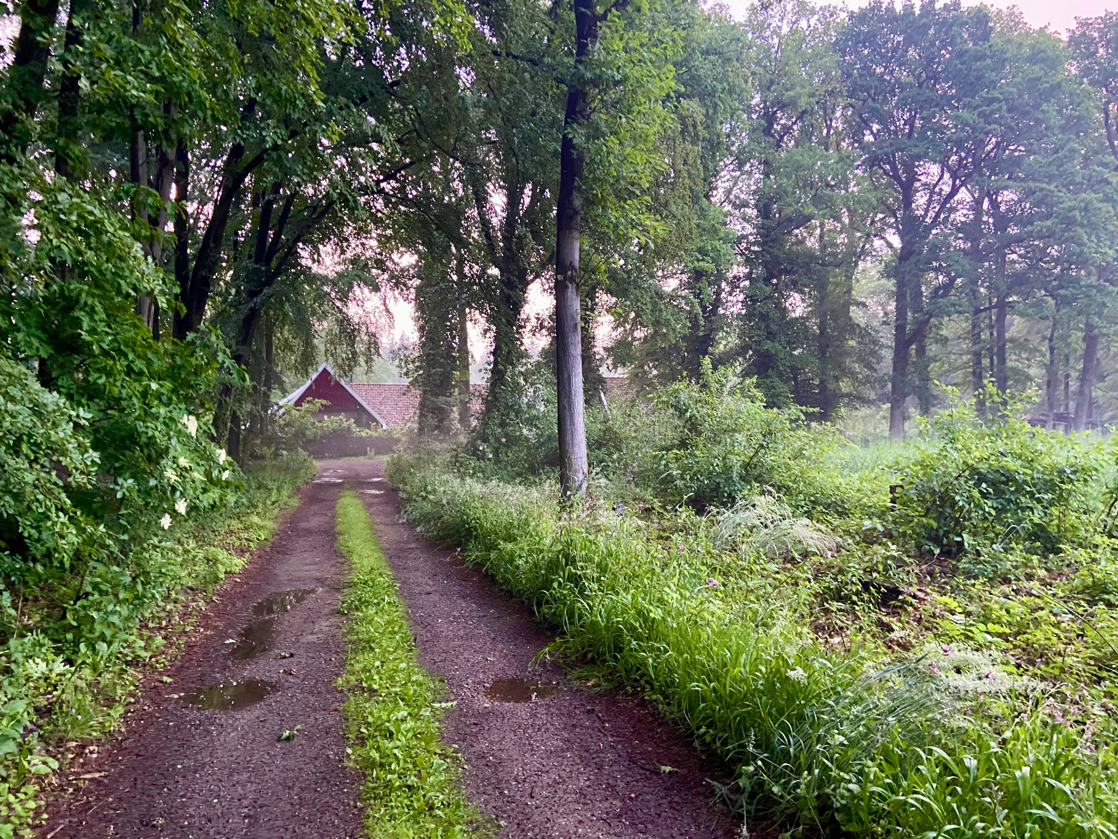 Natuurhuisje in Winterswijk