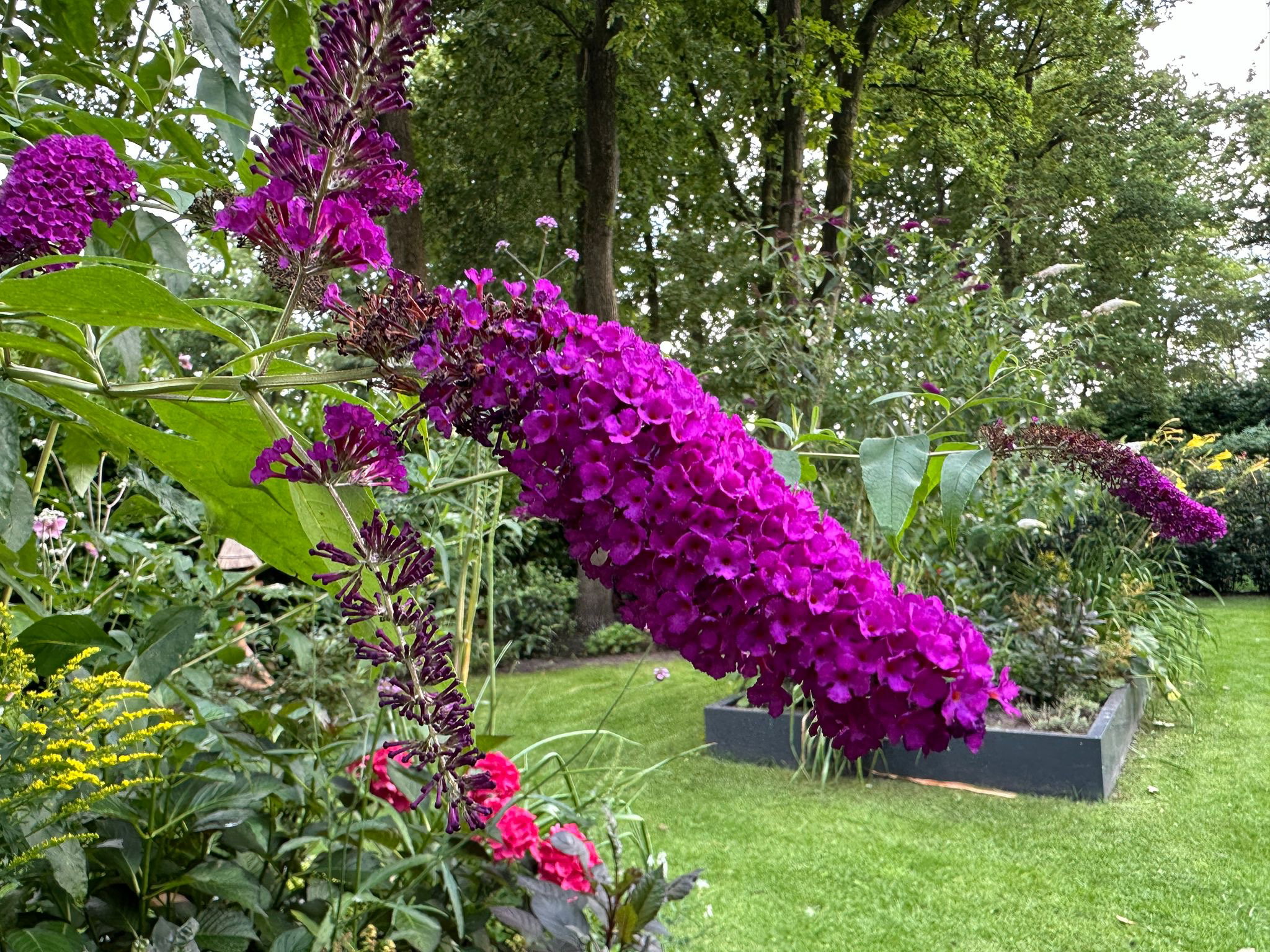 - image: 29