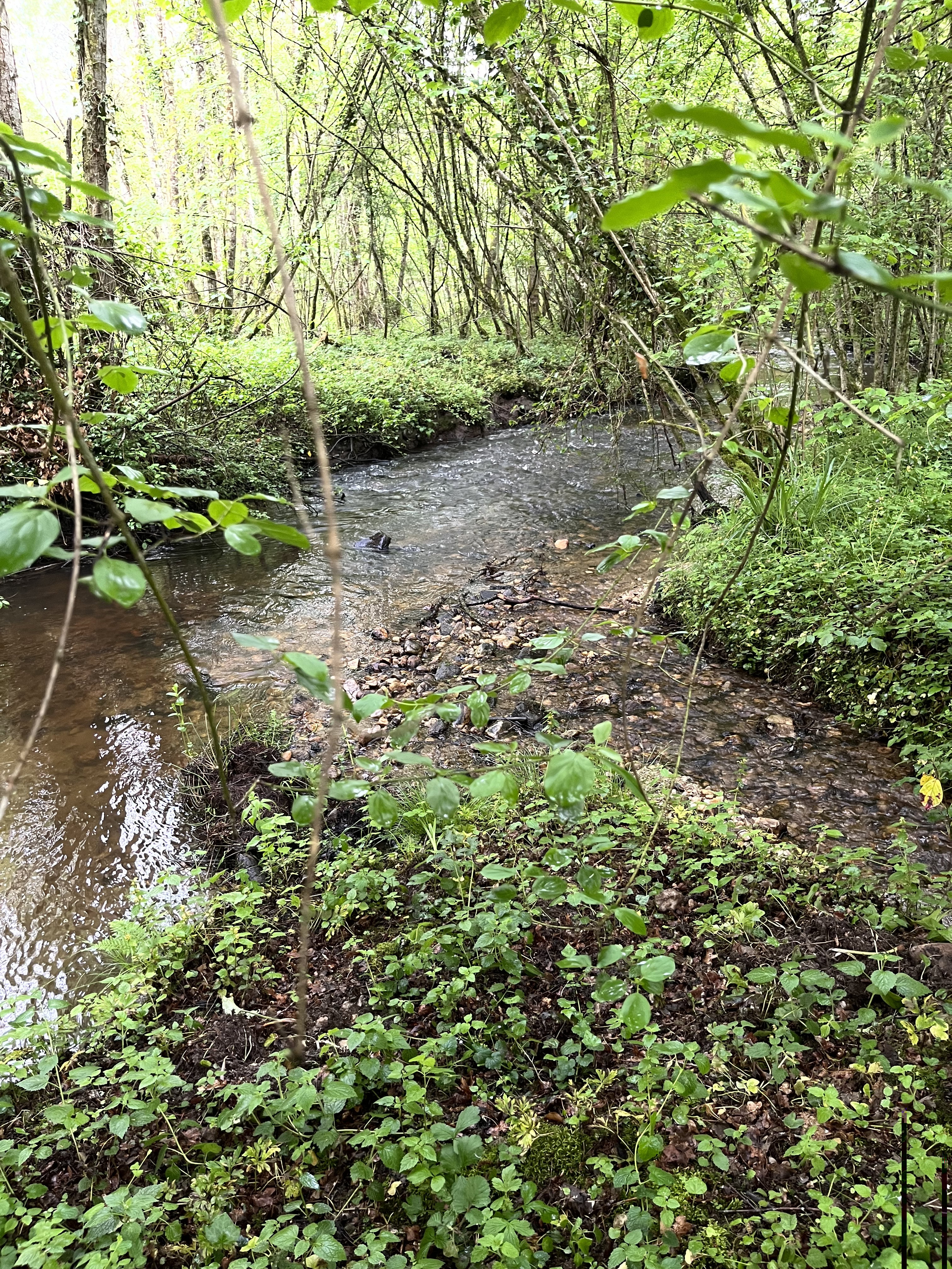 Natuurhuisje in Jumilhac le Grand