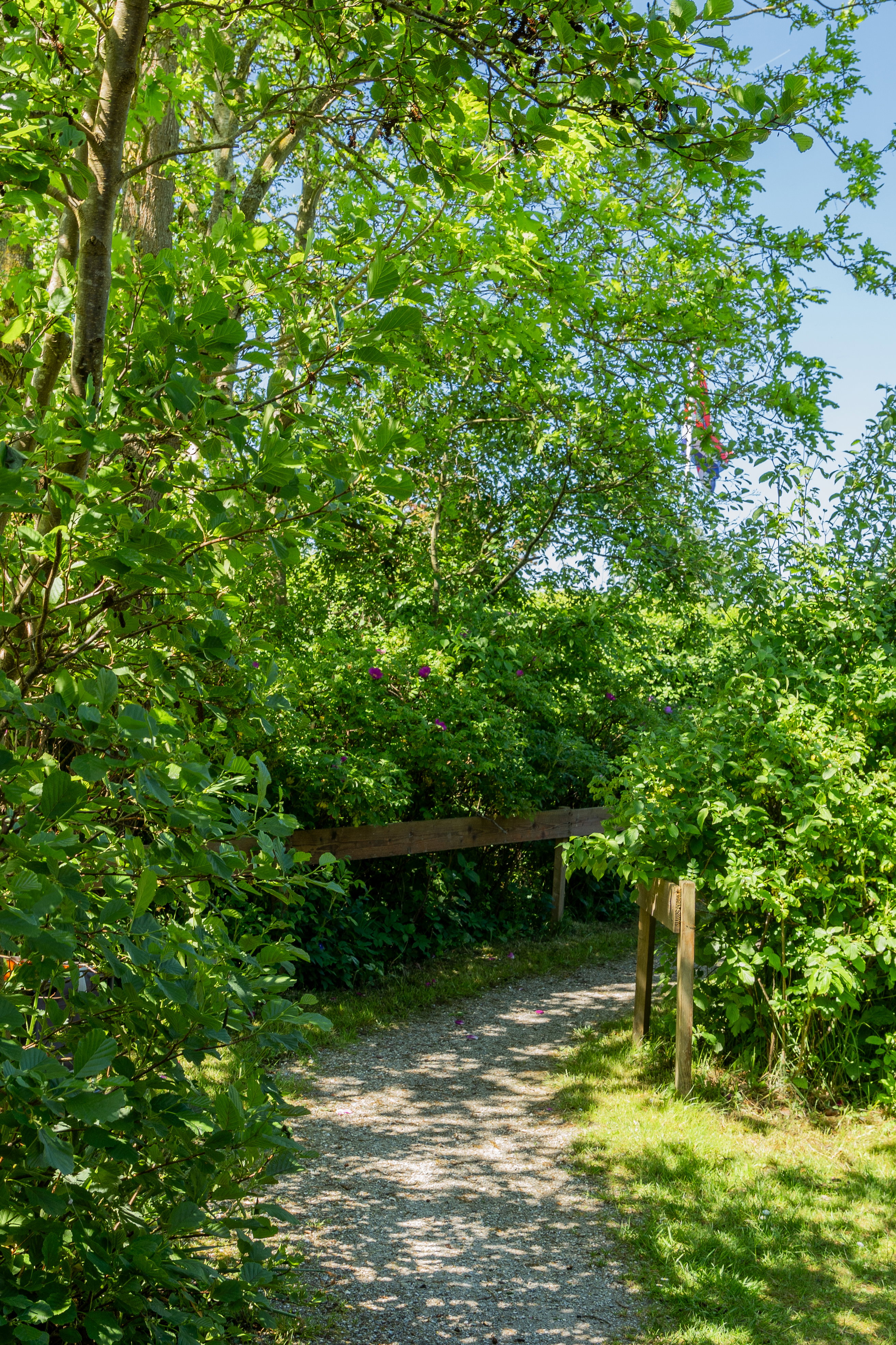 Natuurhuisje in Schiermonnikoog