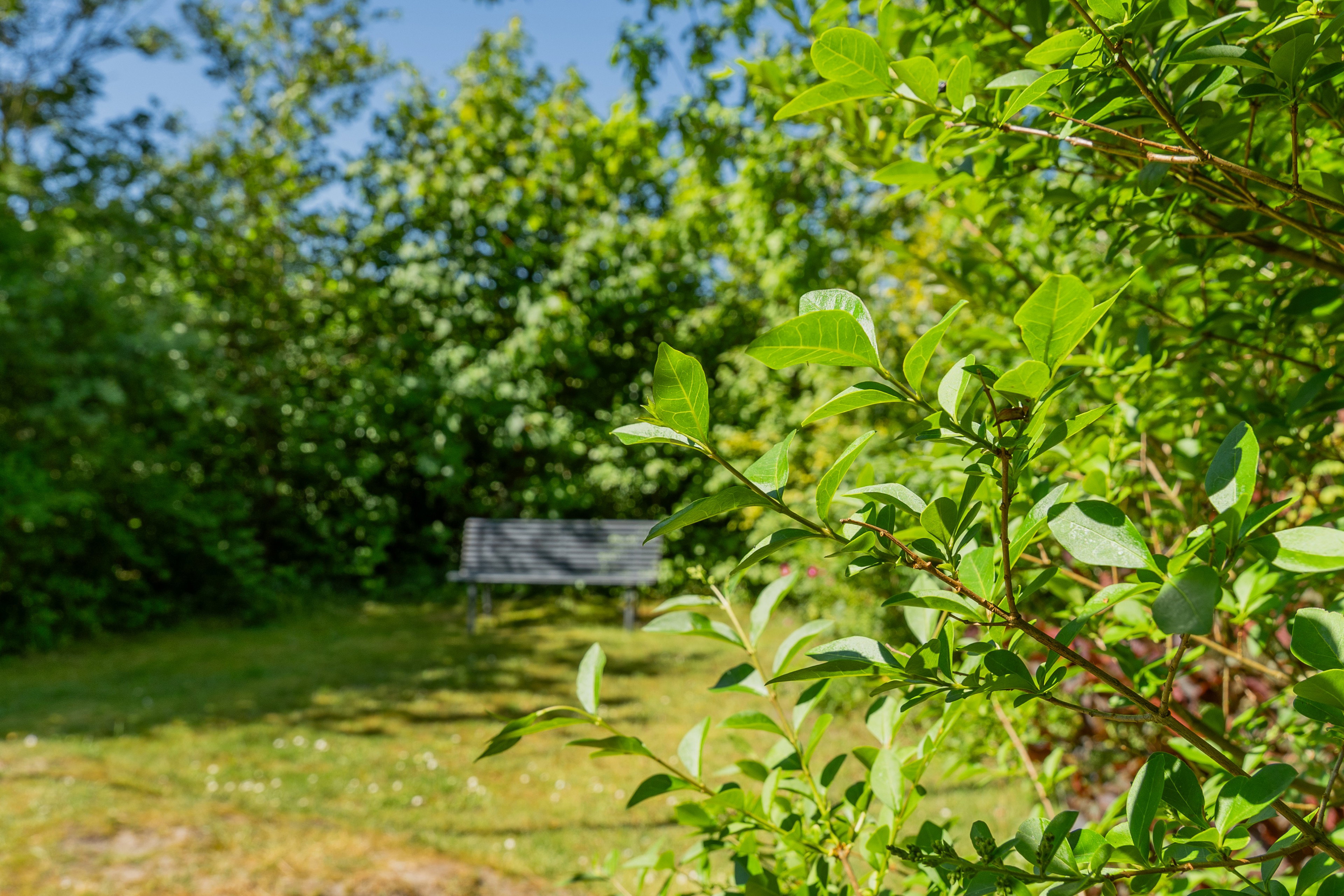 Natuurhuisje in Schiermonnikoog