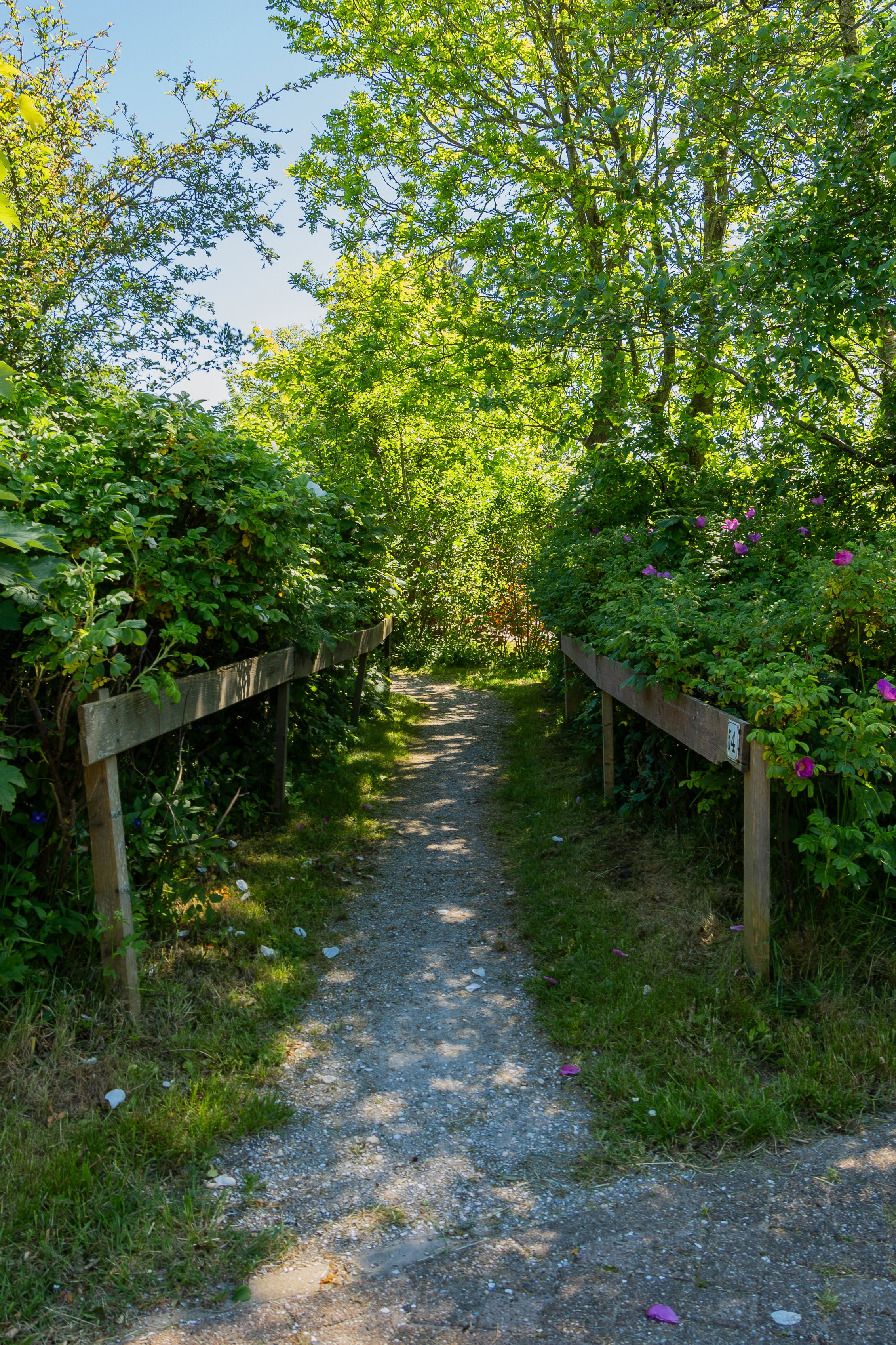 Natuurhuisje in Schiermonnikoog