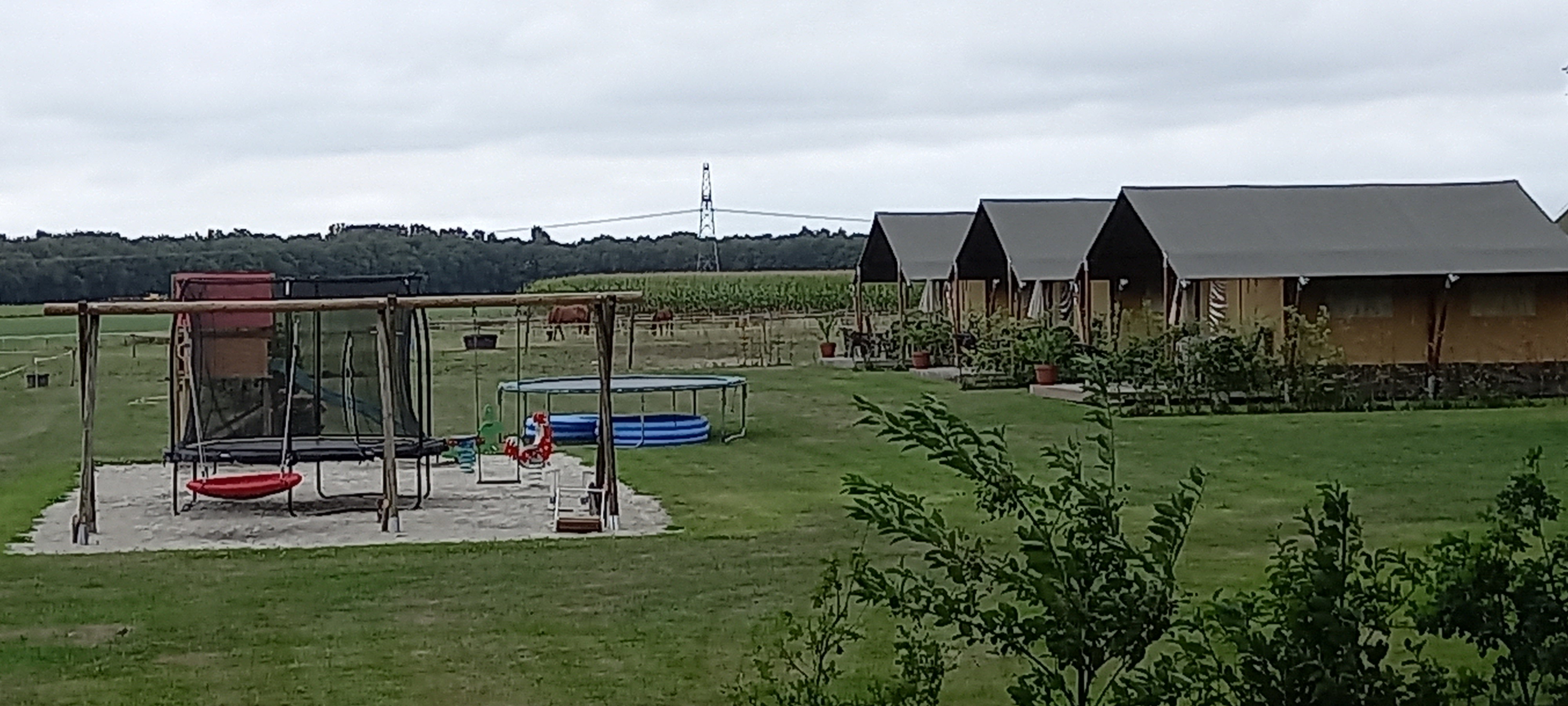 Casa nella natura a Zwiggelte