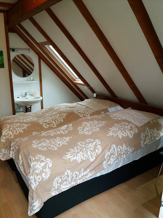 Nature house in Frankenau (Sauerland)