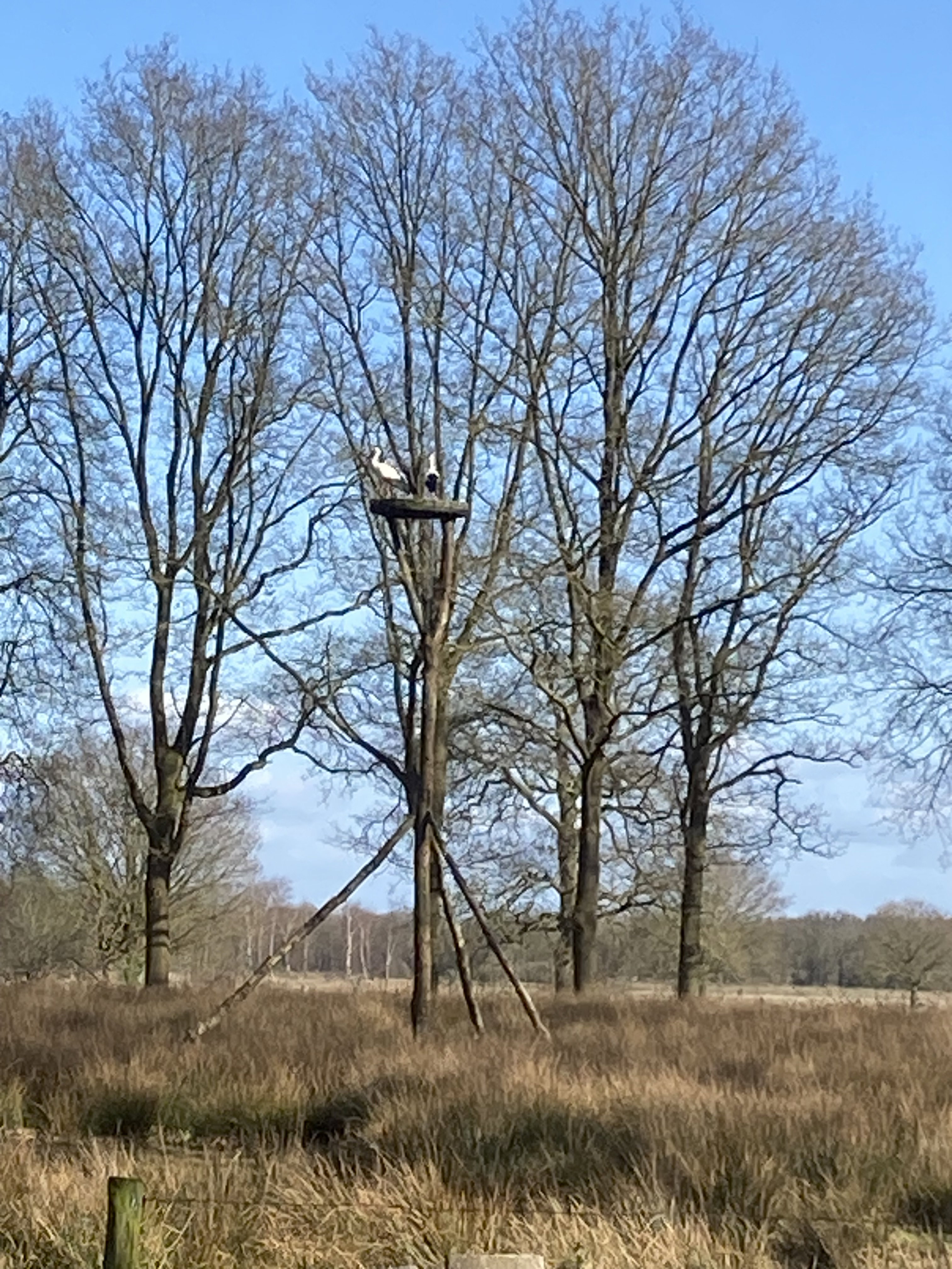 Naturhäuschen in Ruinen