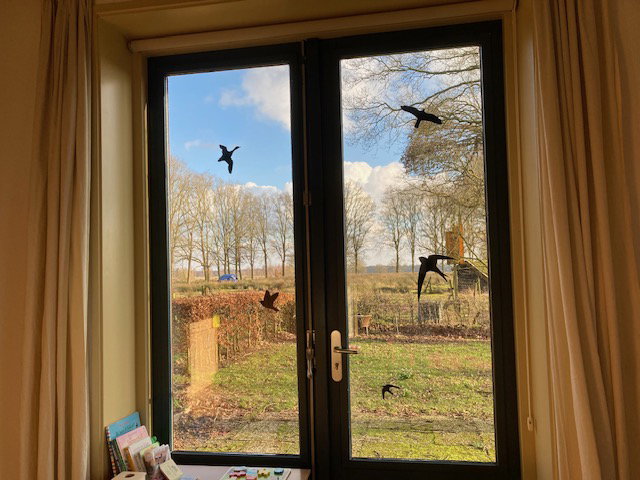 Naturhäuschen in Ruinen