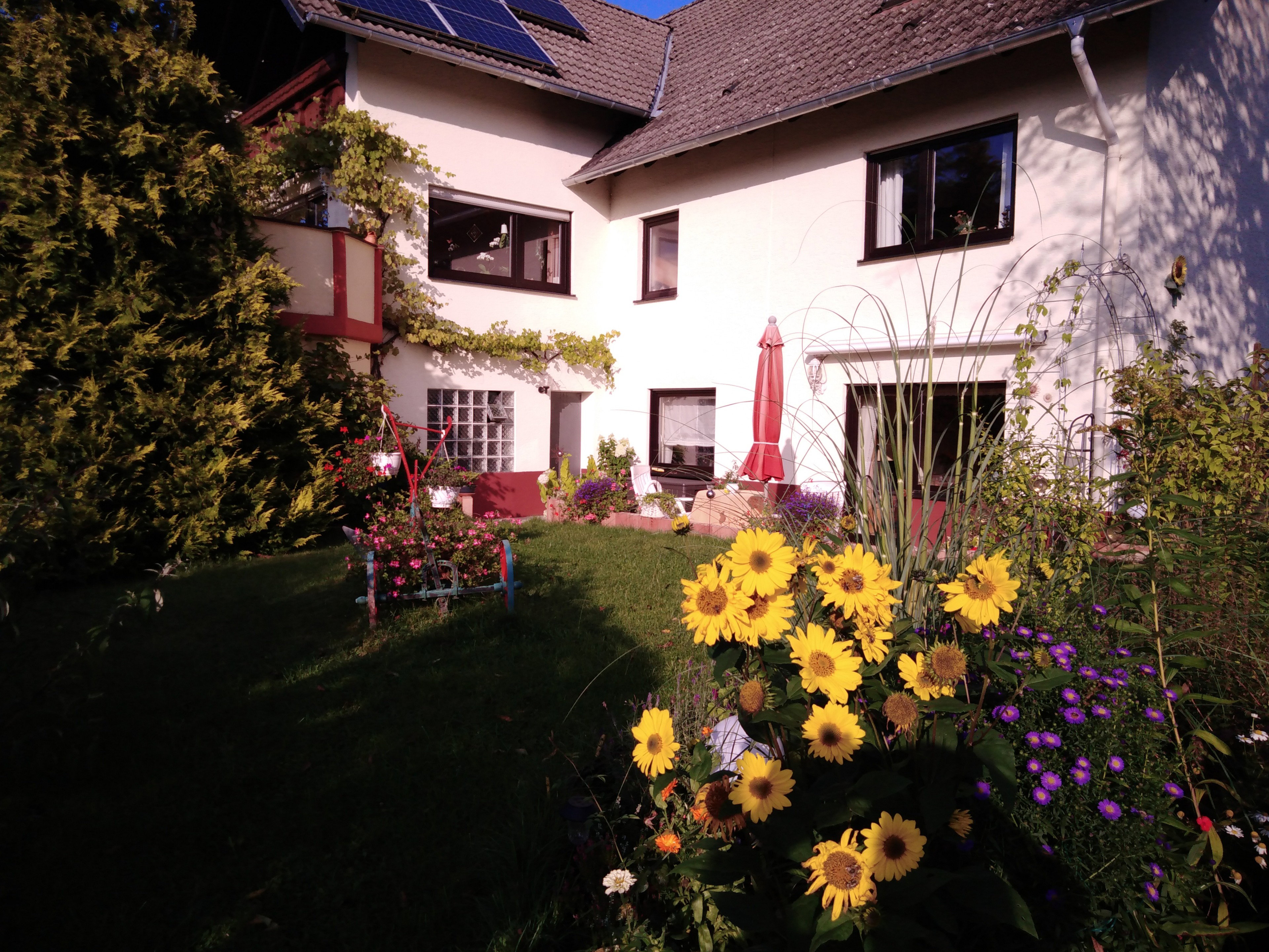 Casa nella natura a Daun-Boverath