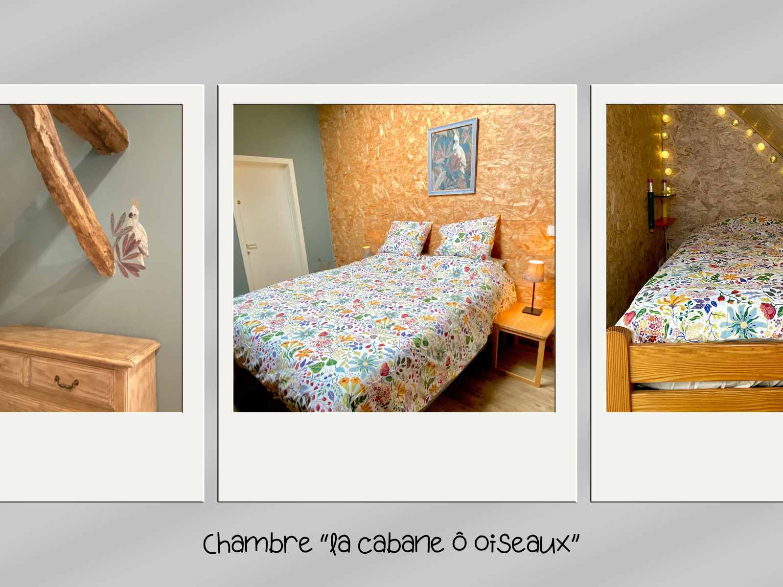 - image: 19