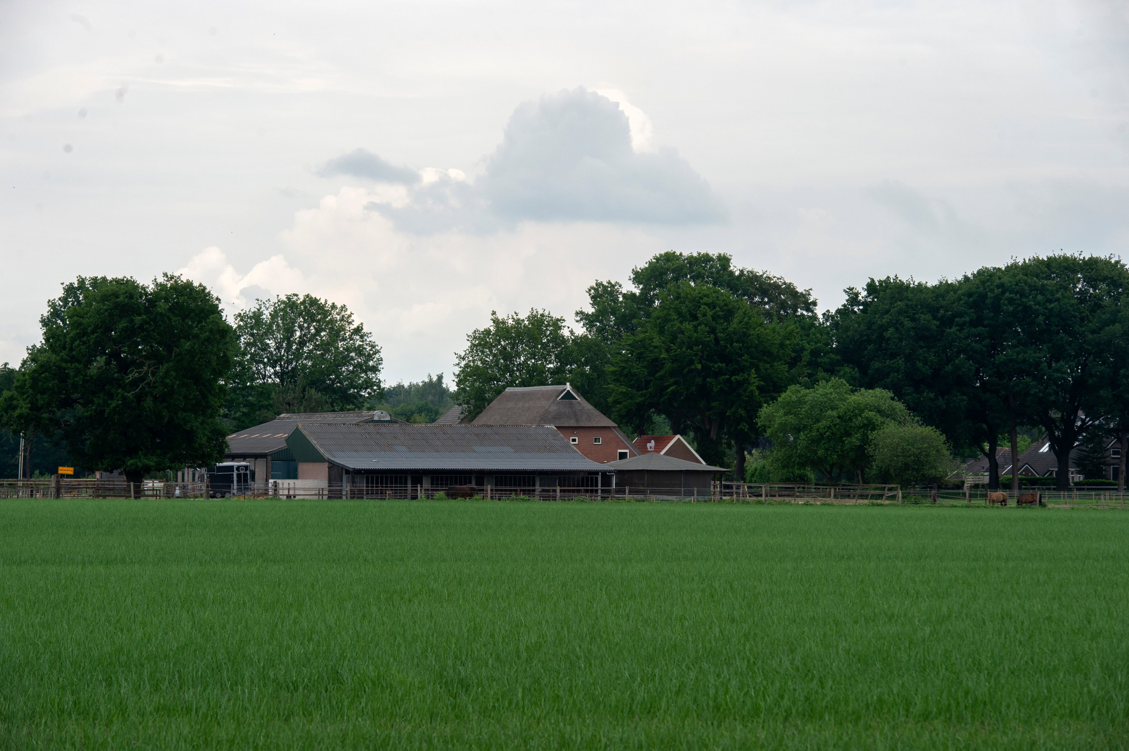 Casa nella natura a Schoonloo
