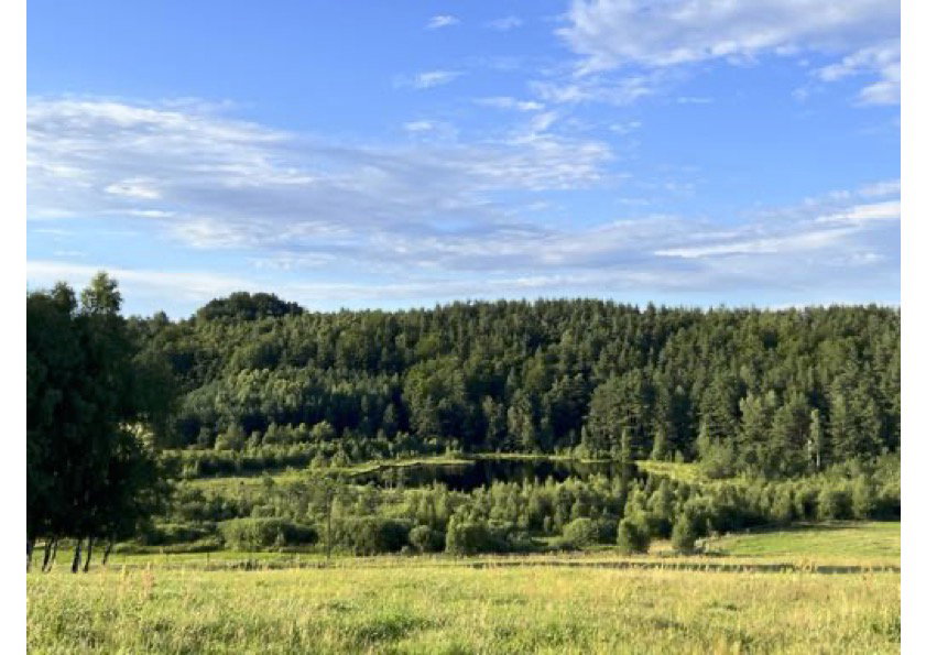 Naturhäuschen in Brzezno Szlacheckie