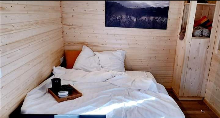 - image: 6
