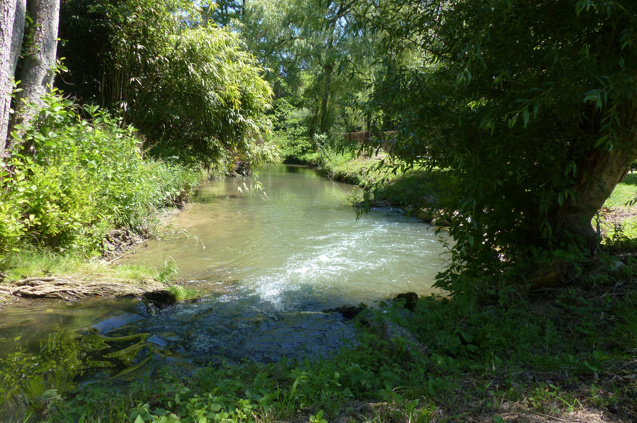 - image: 10