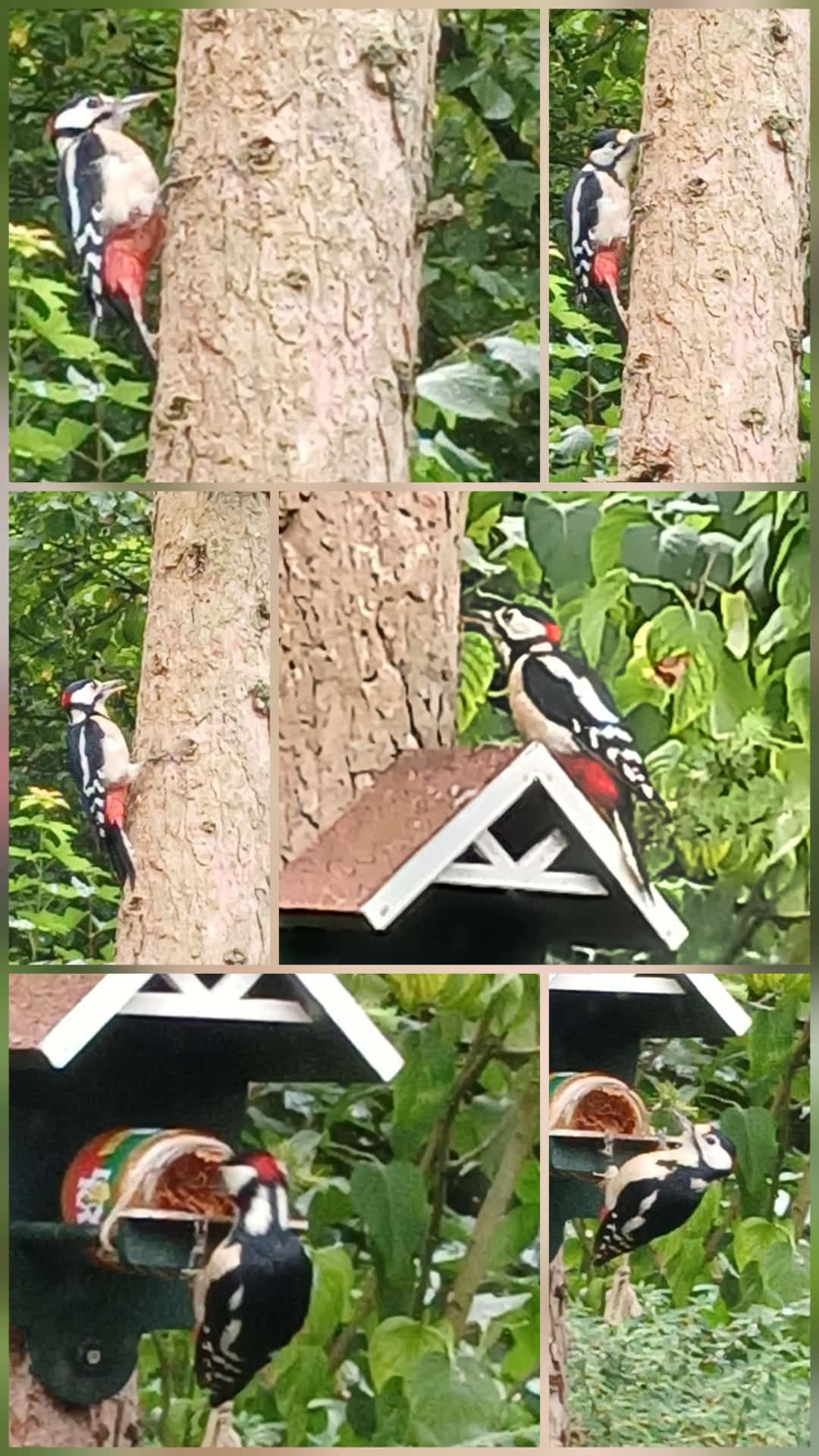 Natuurhuisje in Wolfheze
