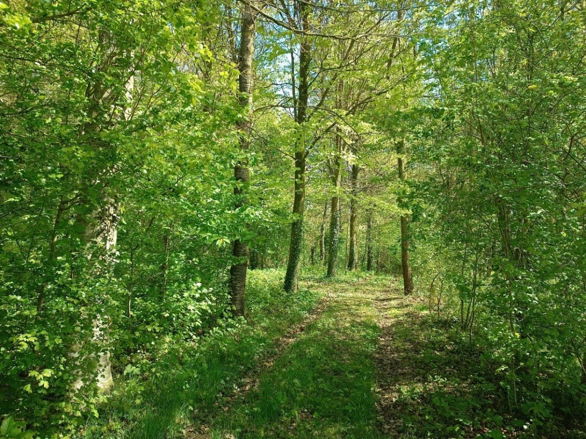 - image: 24