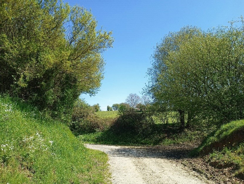 - image: 29