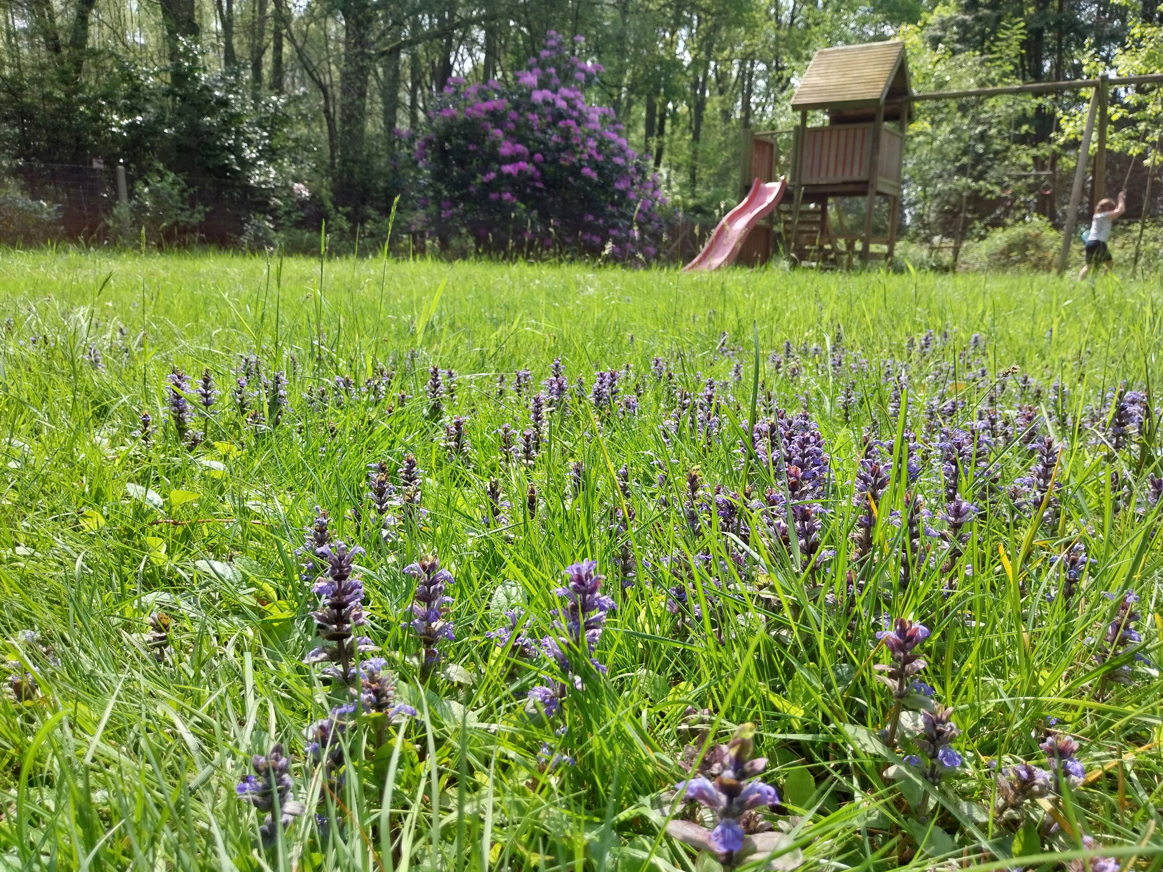 Natuurhuisje in Herselt