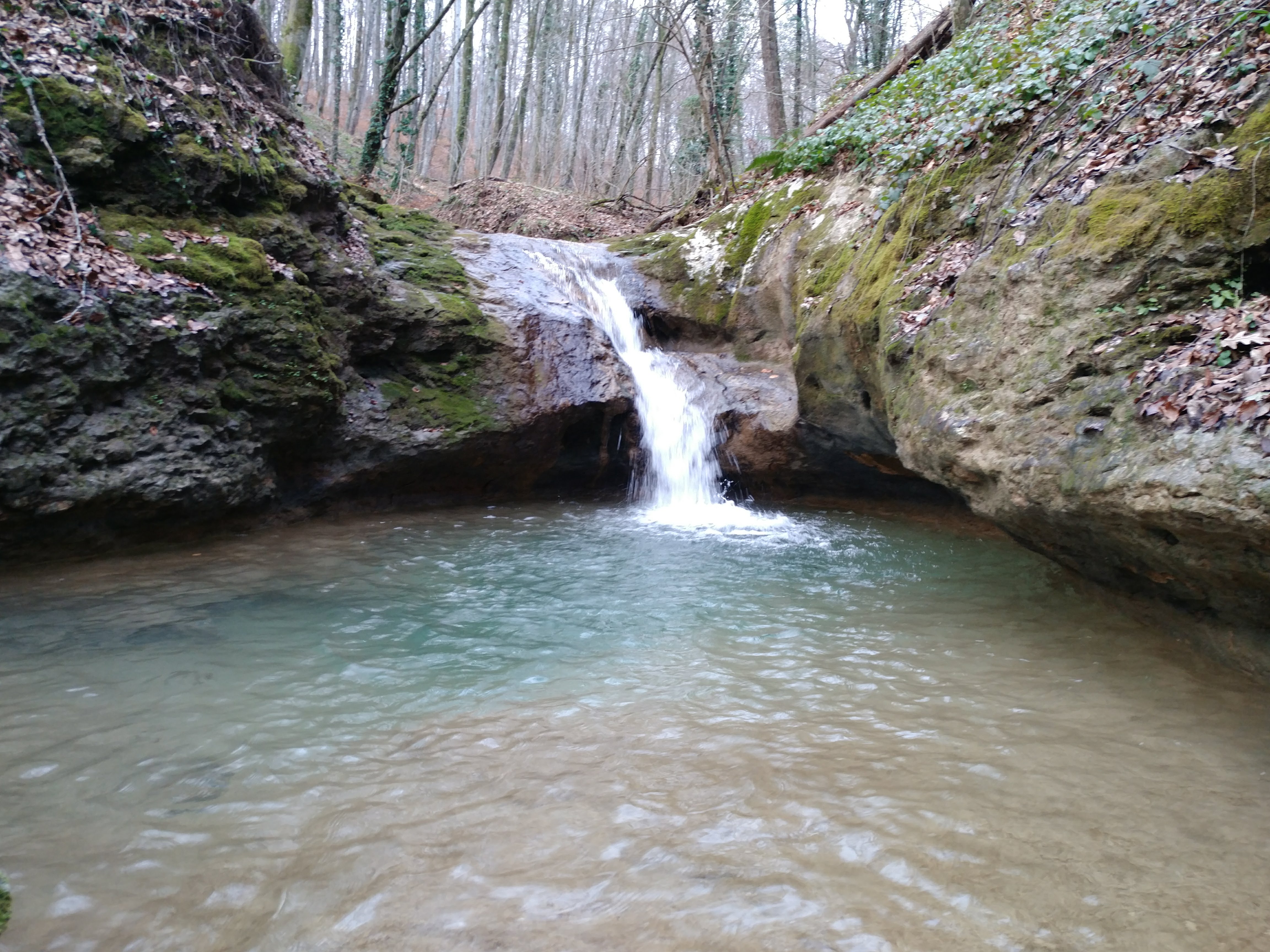 - image: 26