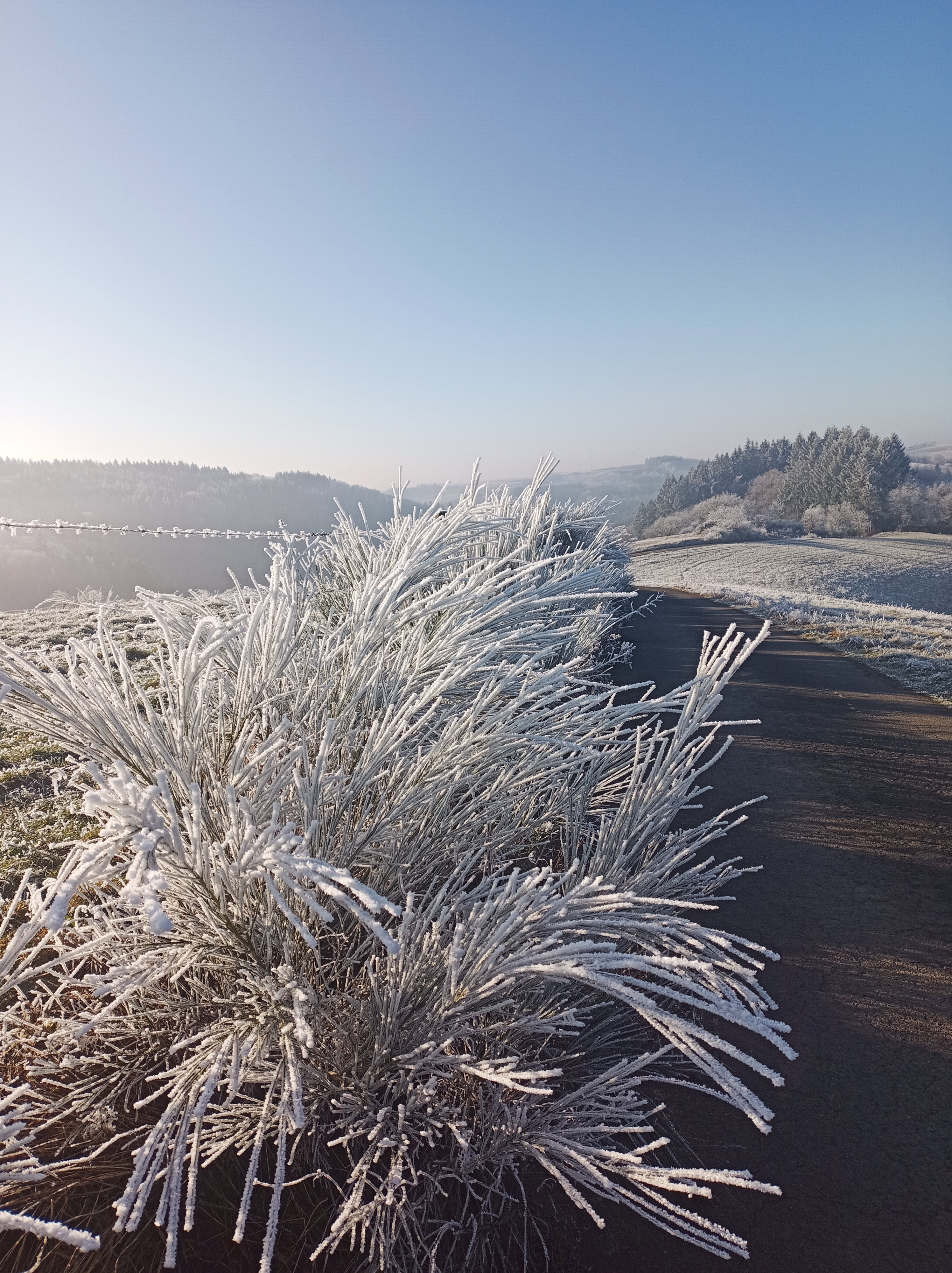 - image: 27