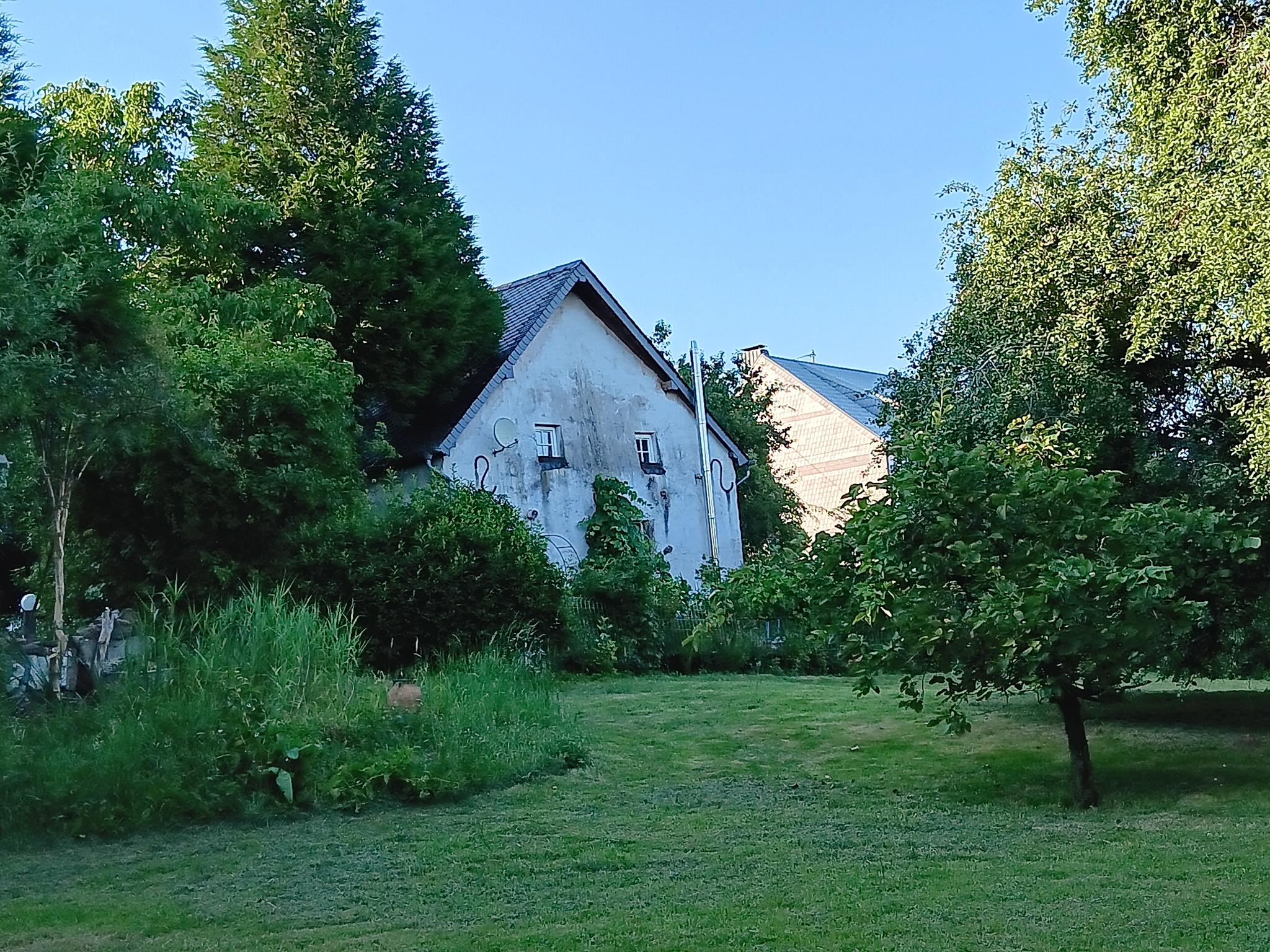 - image: 19