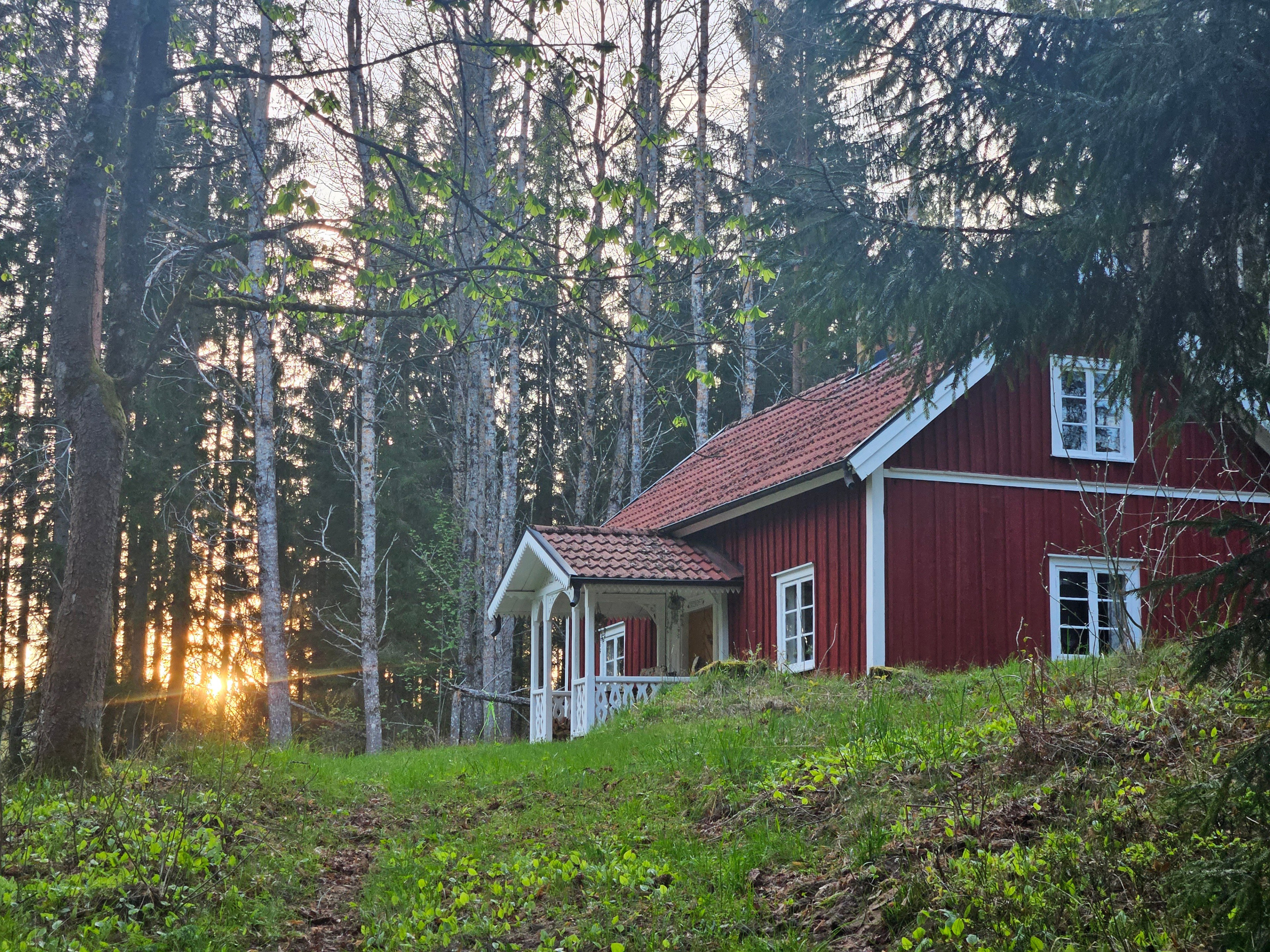 - image: 20