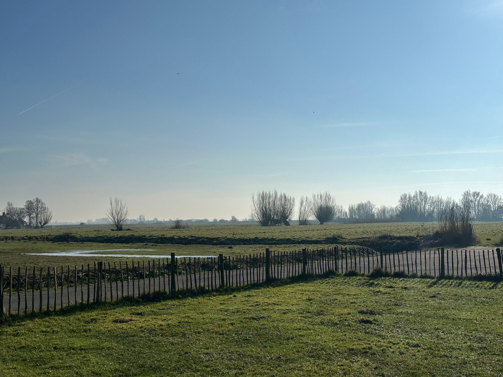 Maison nature à Strijen
