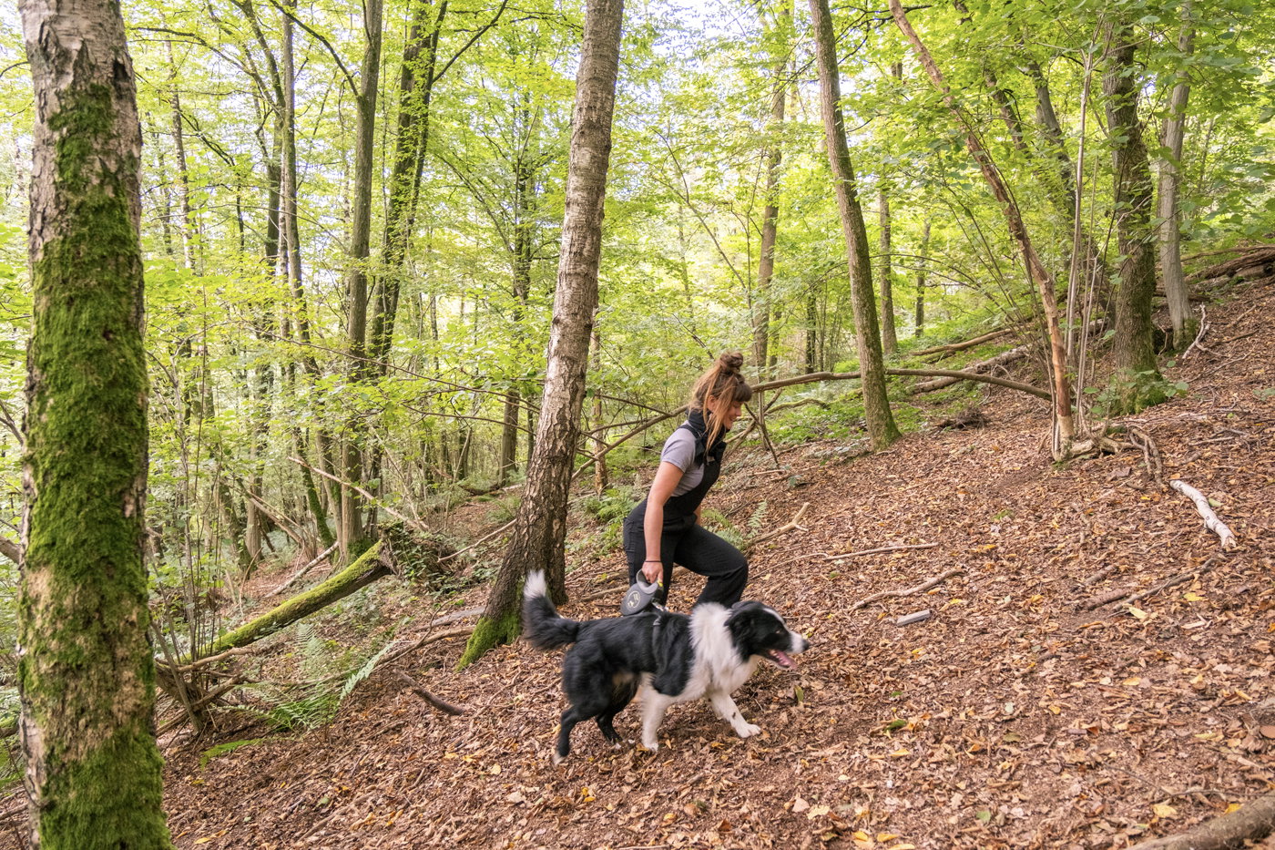 Natuurhuisje in Hastière