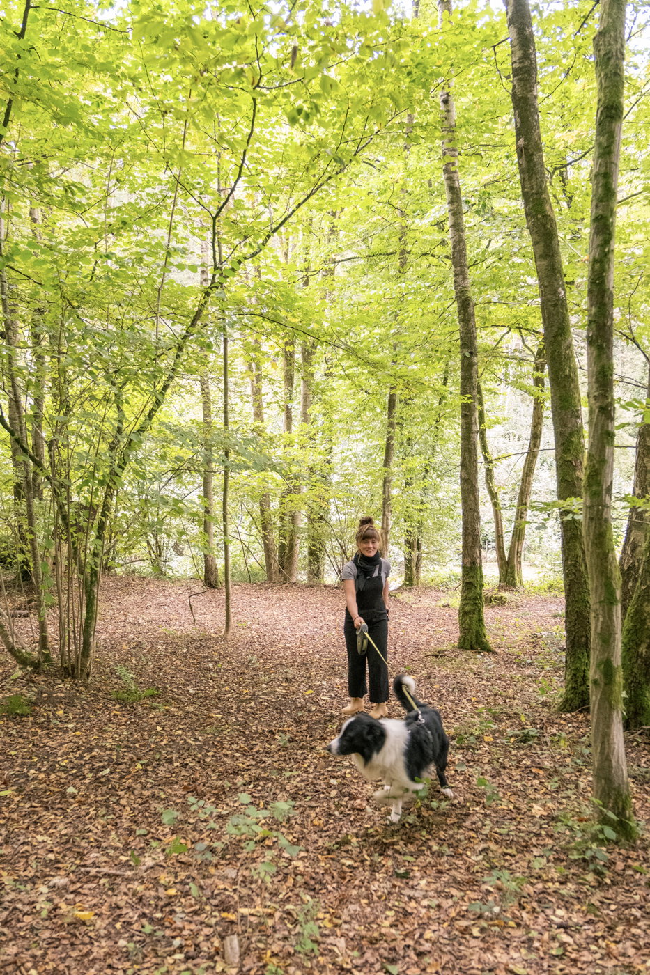 Naturhäuschen in Hastière