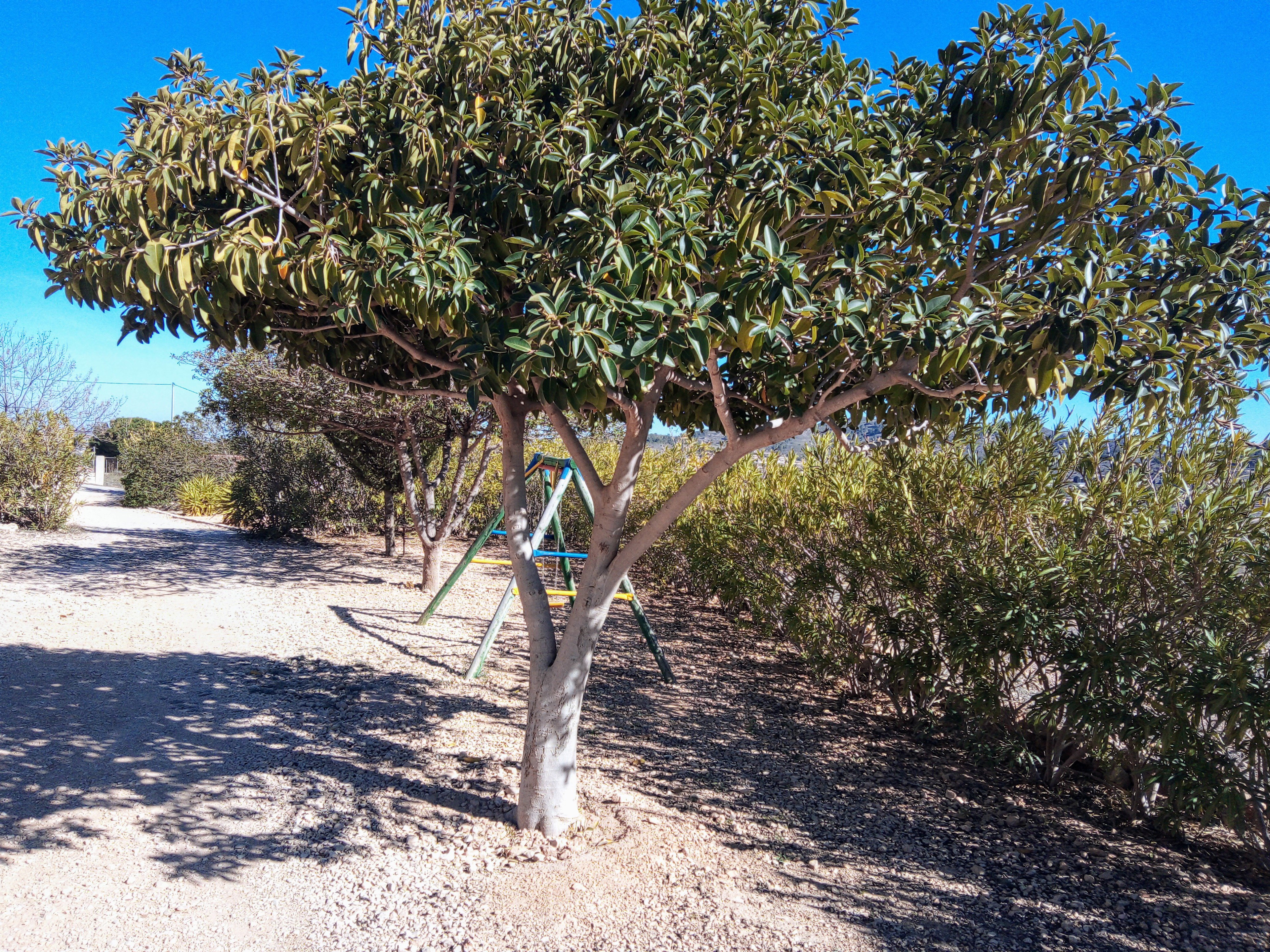 Nature house in Hondon de las nieves