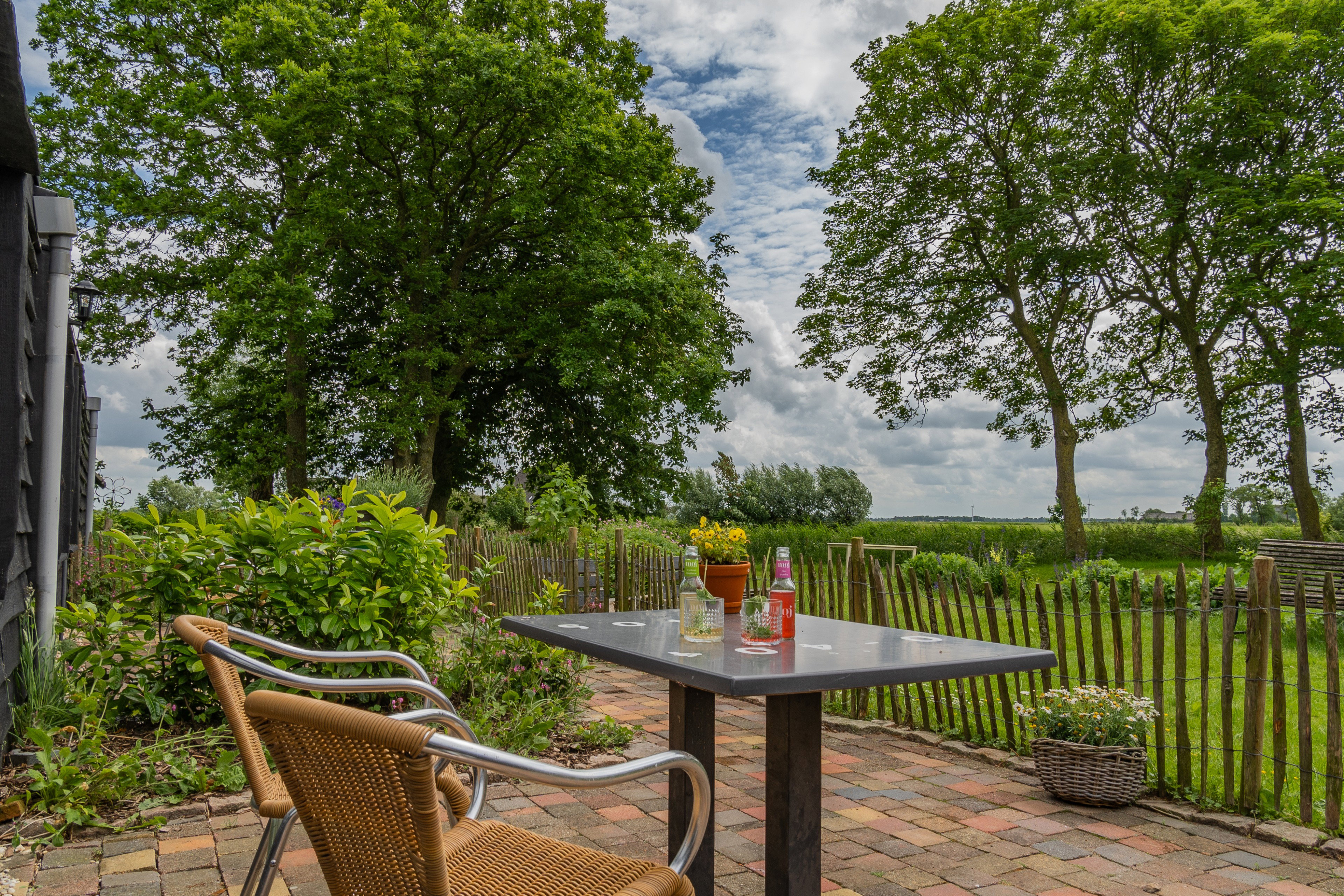 Natuurhuisje in Stiens