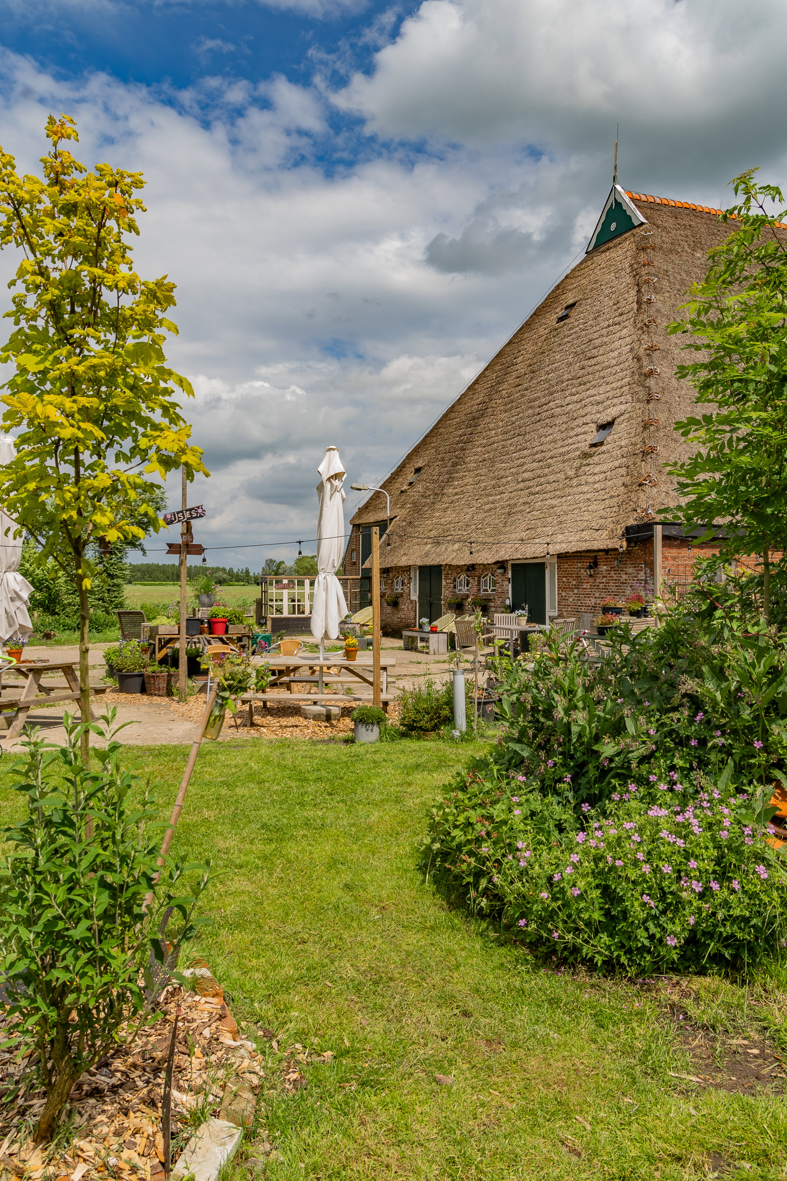 Natuurhuisje in Stiens