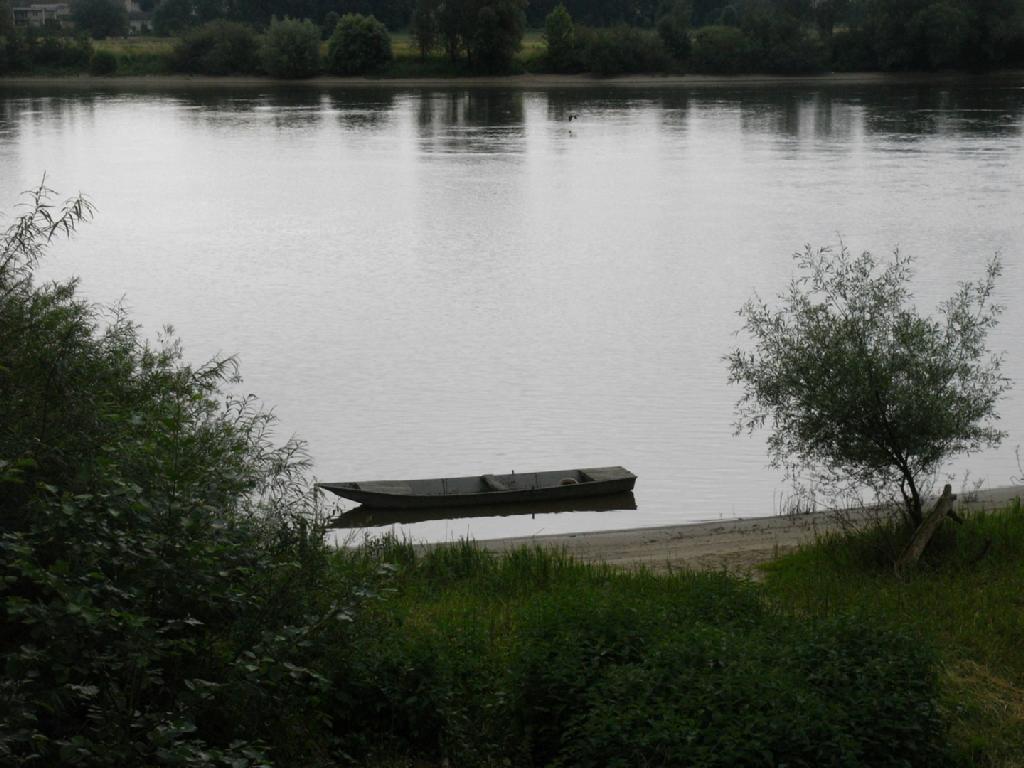 - image: 15
