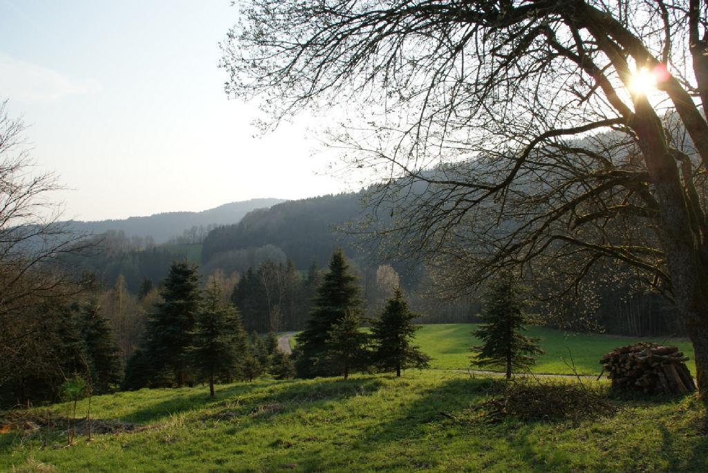 - image: 12