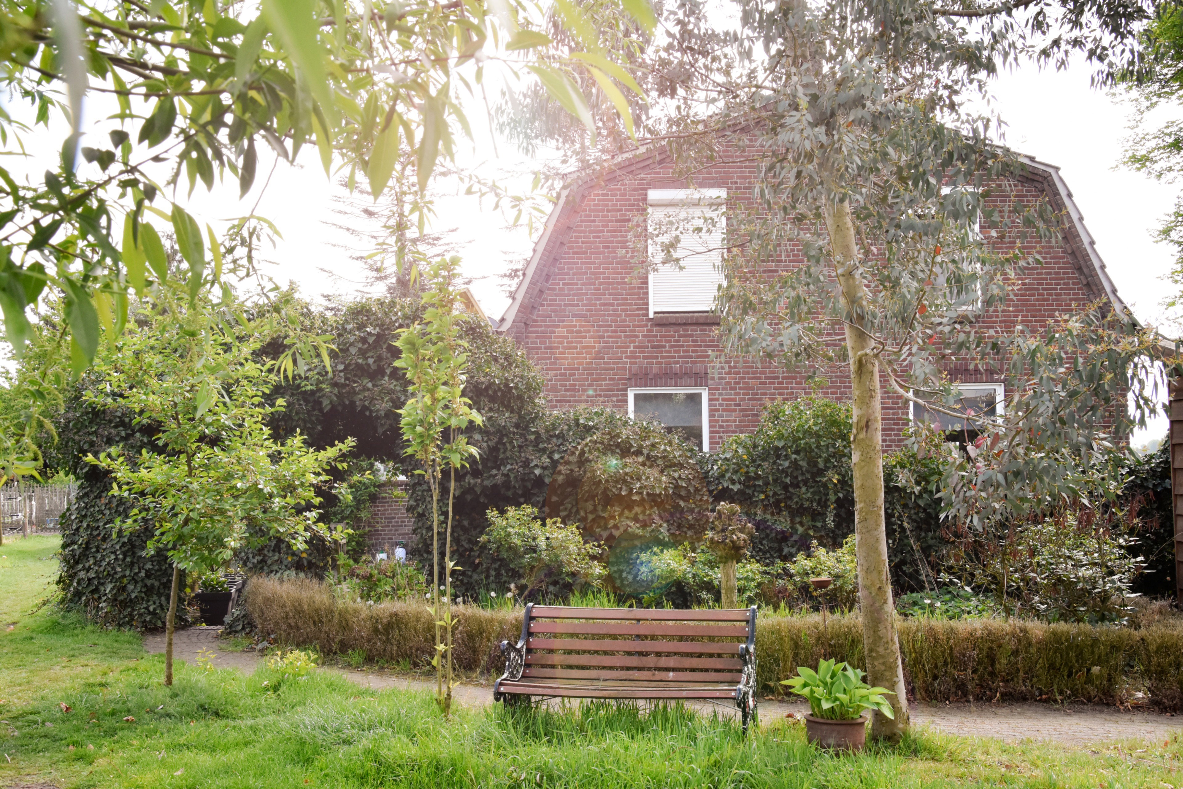 Natuurhuisje in Well