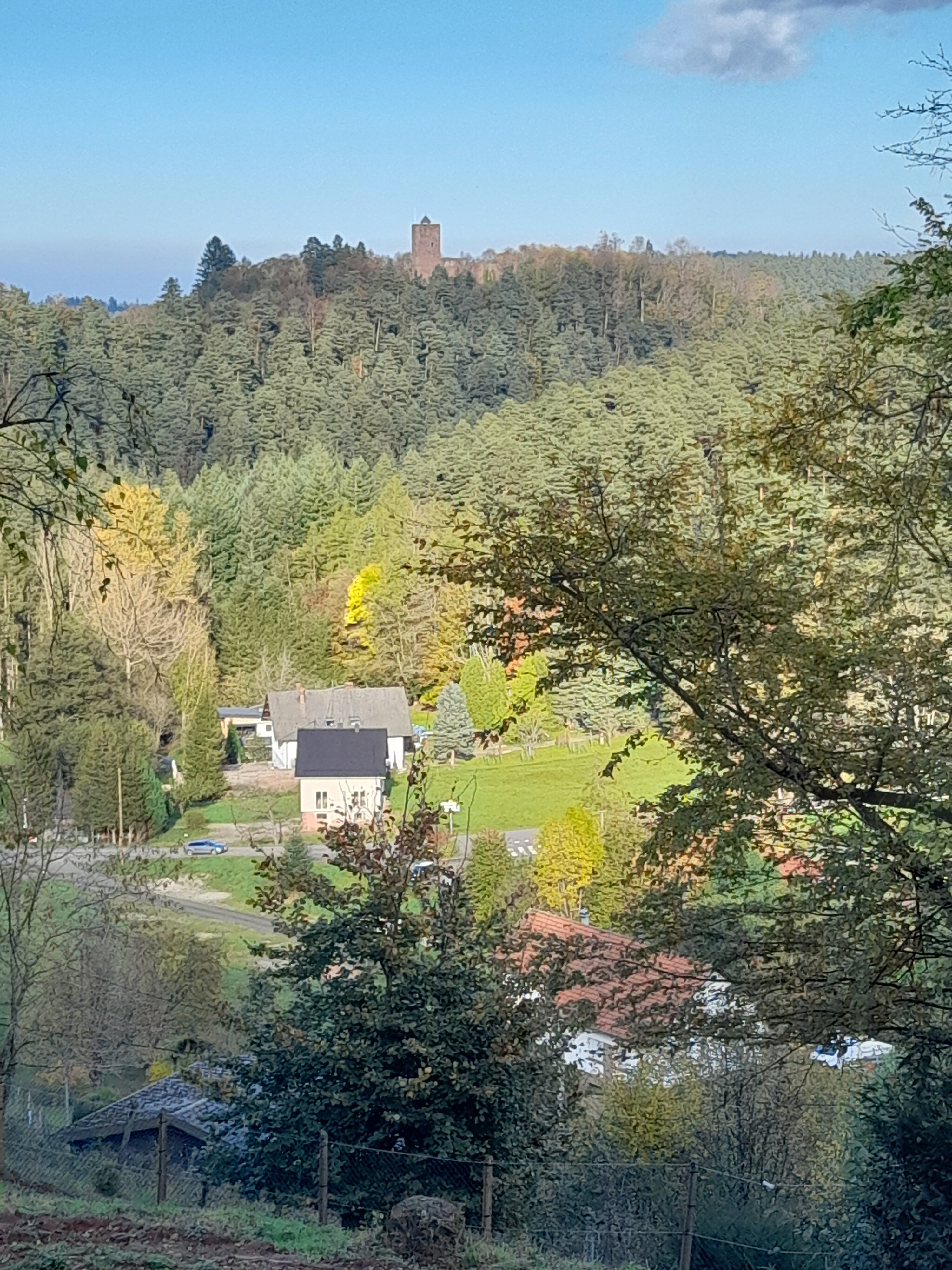 Natuurhuisje in wangenbourg