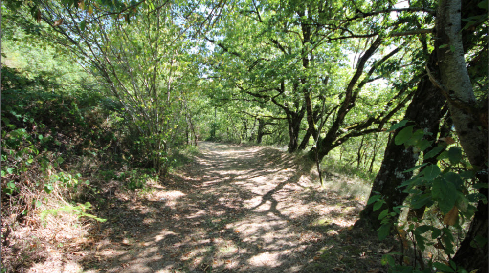 Natuurhuisje in viala du tarn