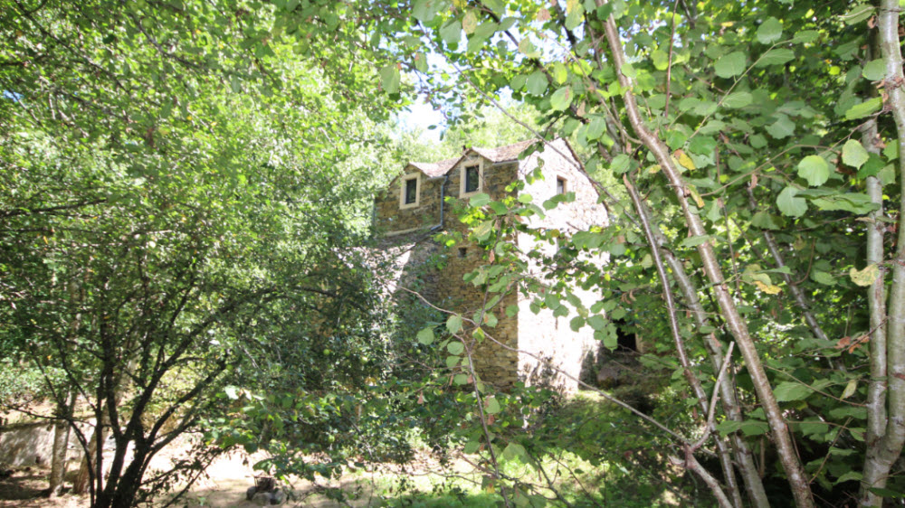 Natuurhuisje in viala du tarn