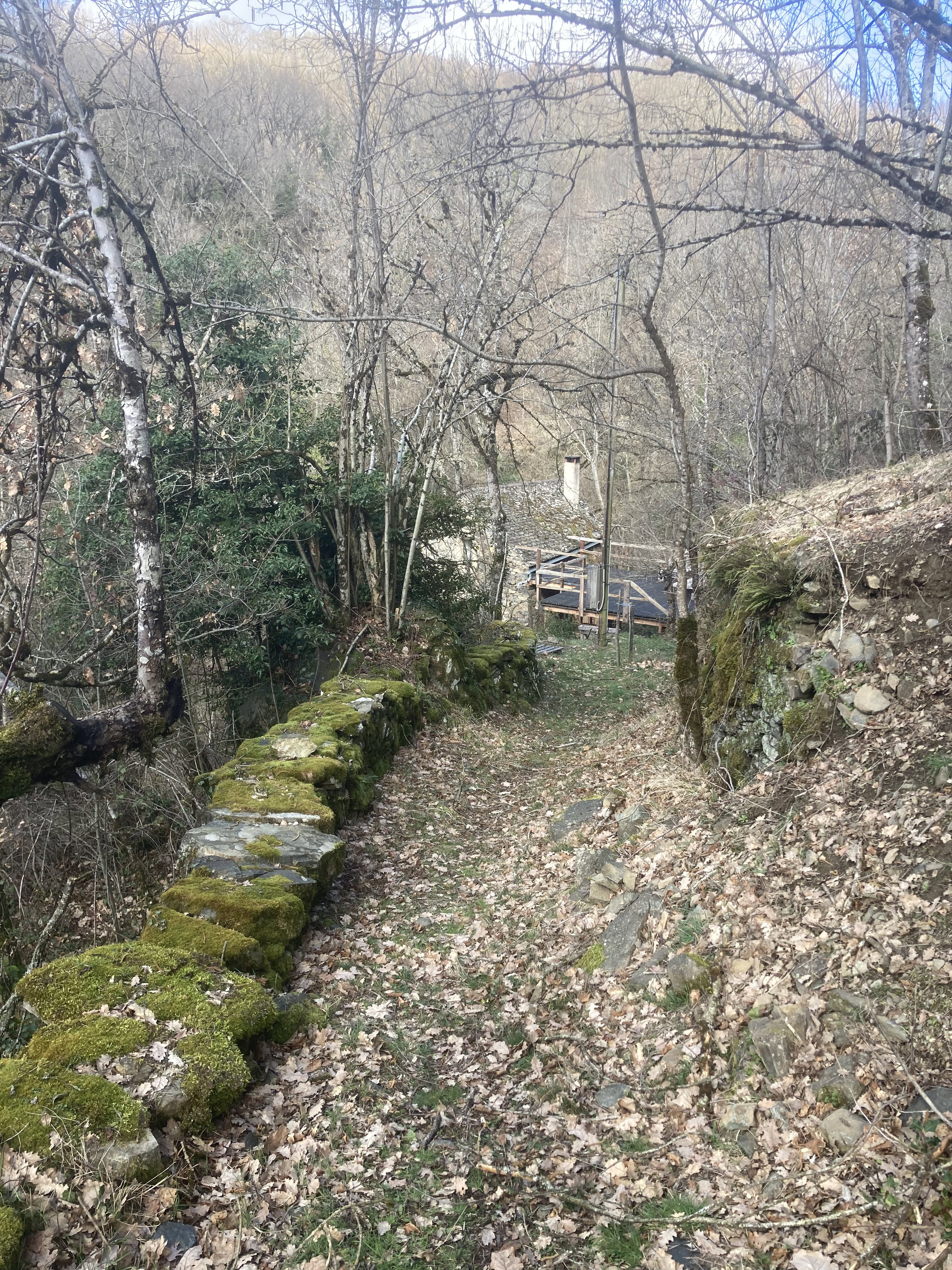 Natuurhuisje in viala du tarn