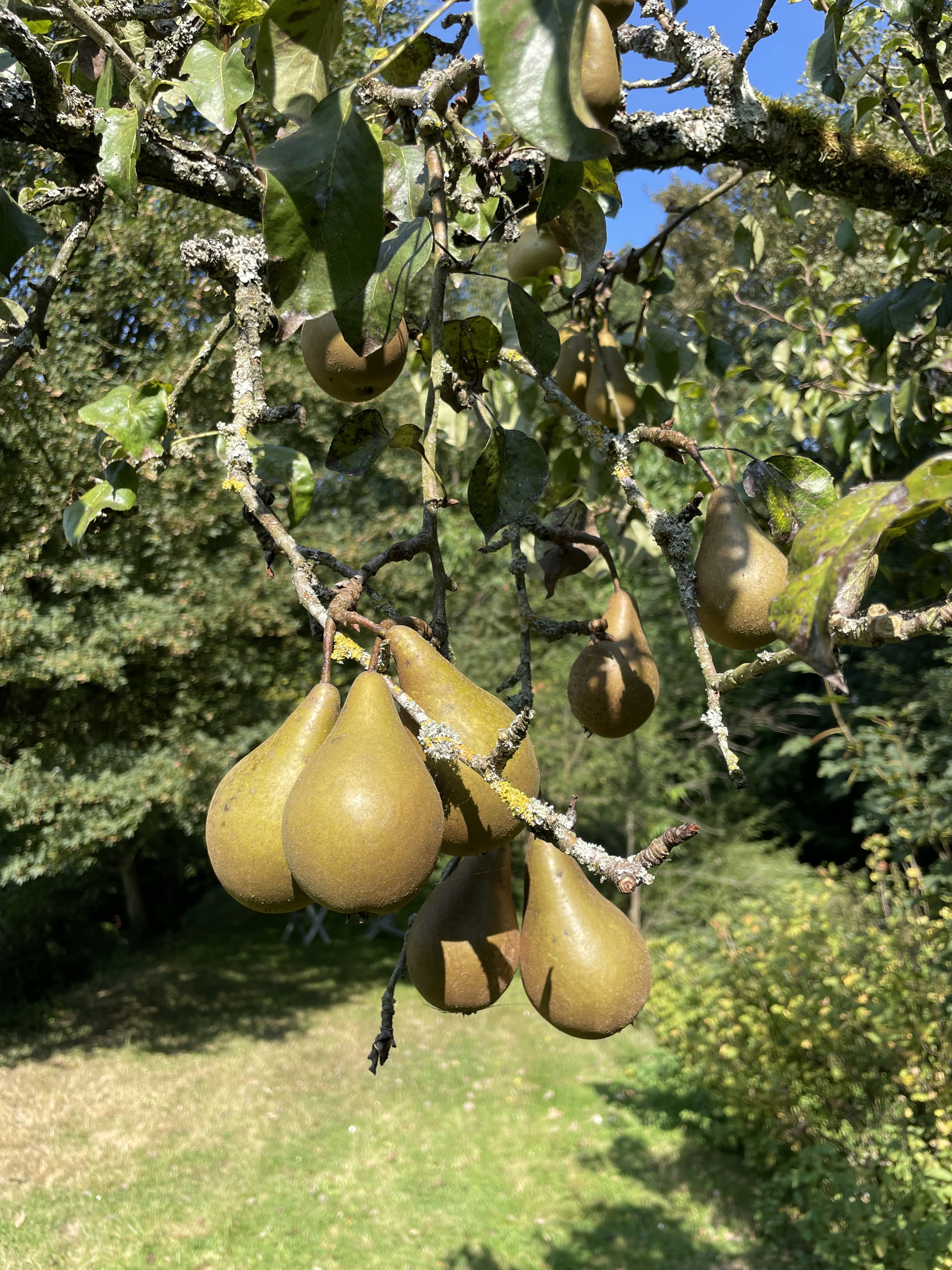 Casa nella natura a Le Sourd