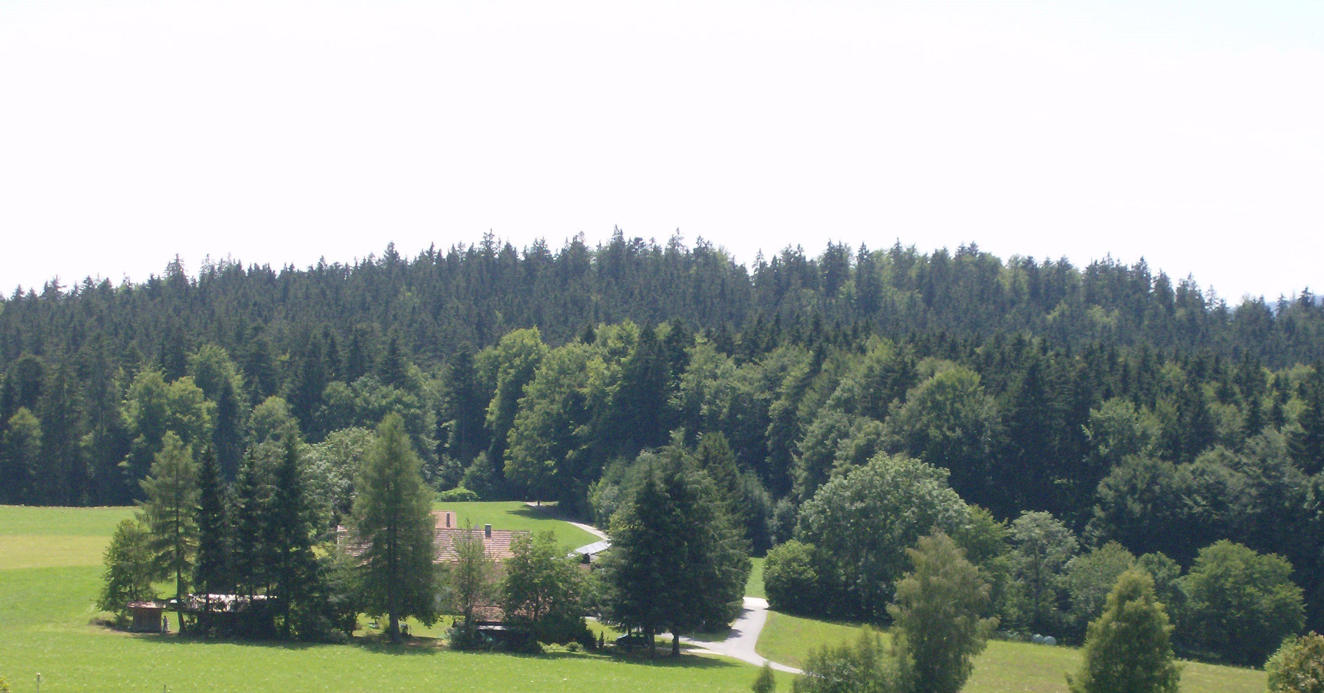 Casa nella natura a Spiegelau