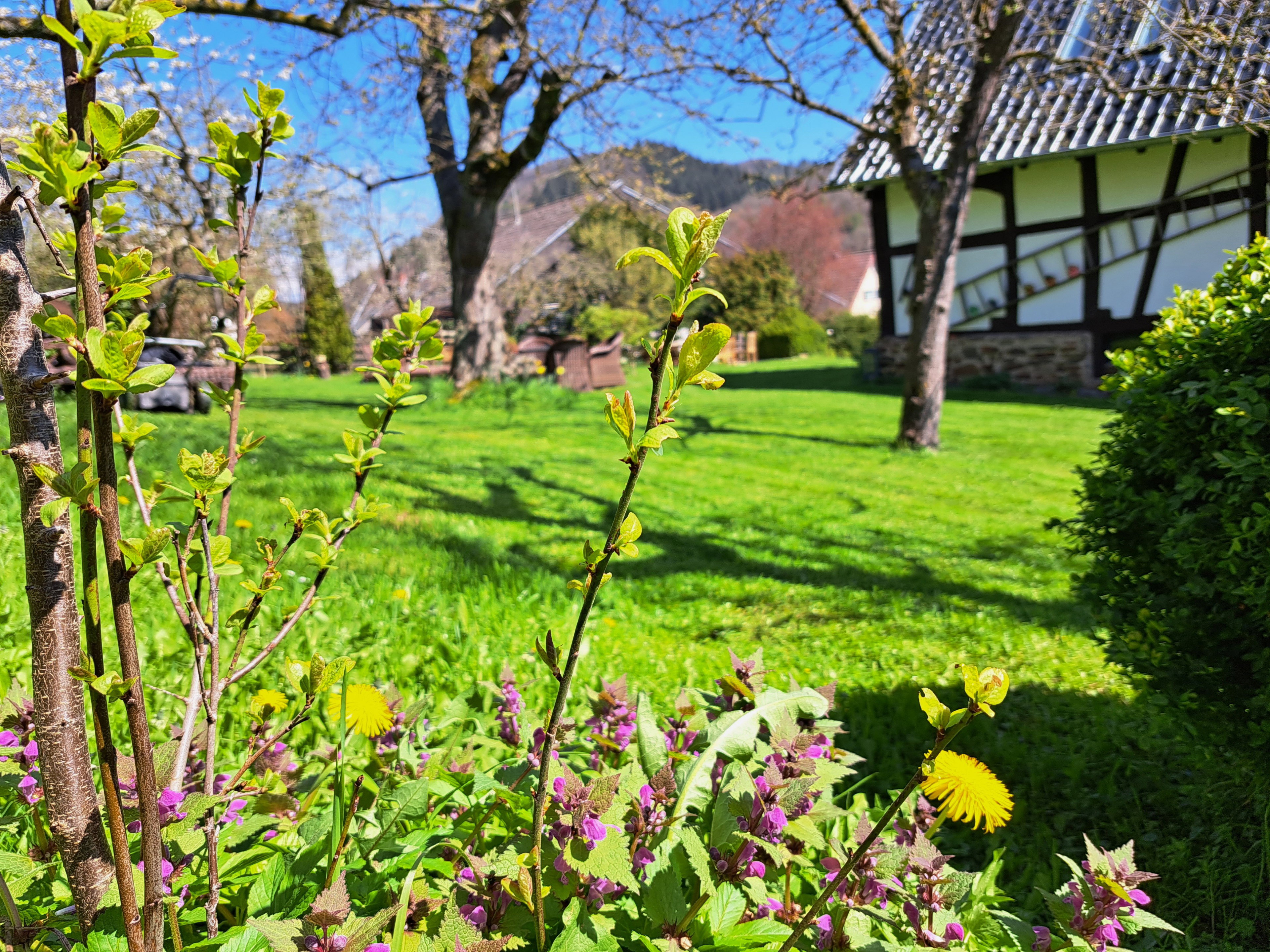 Natuurhuisje in Antweiler