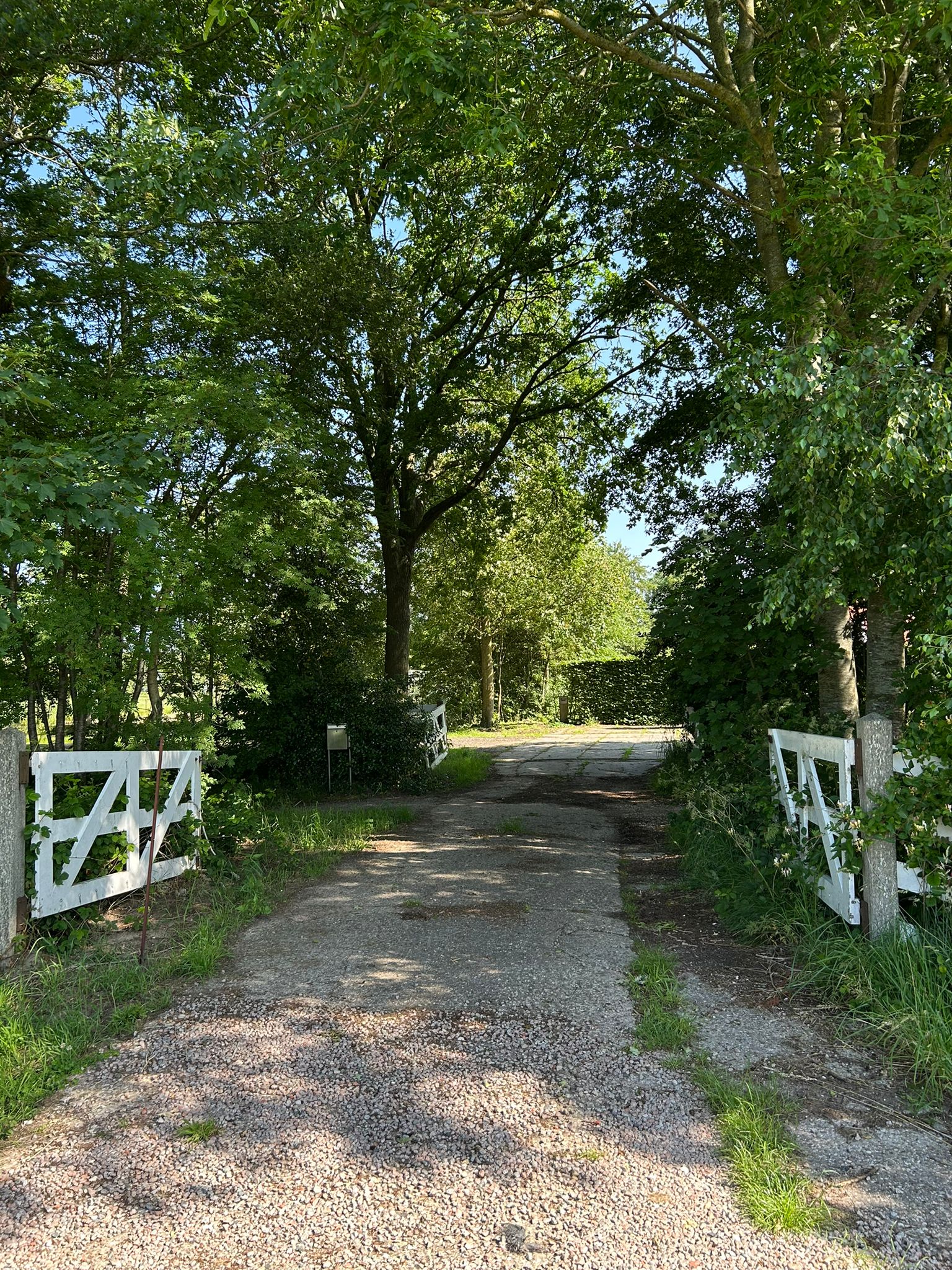 Natuurhuisje in Haskerhorne
