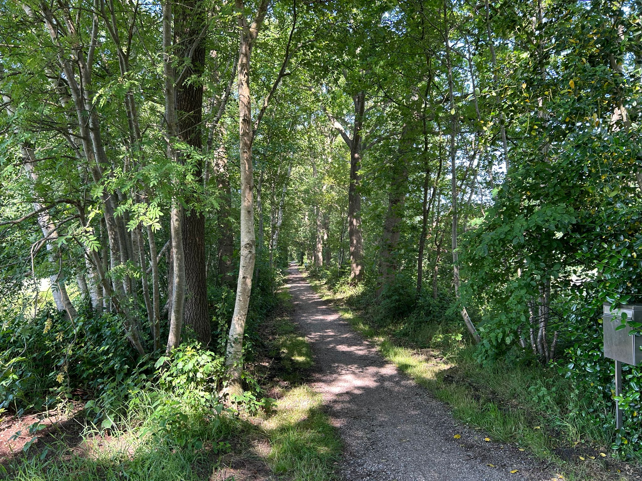 Natuurhuisje in Haskerhorne
